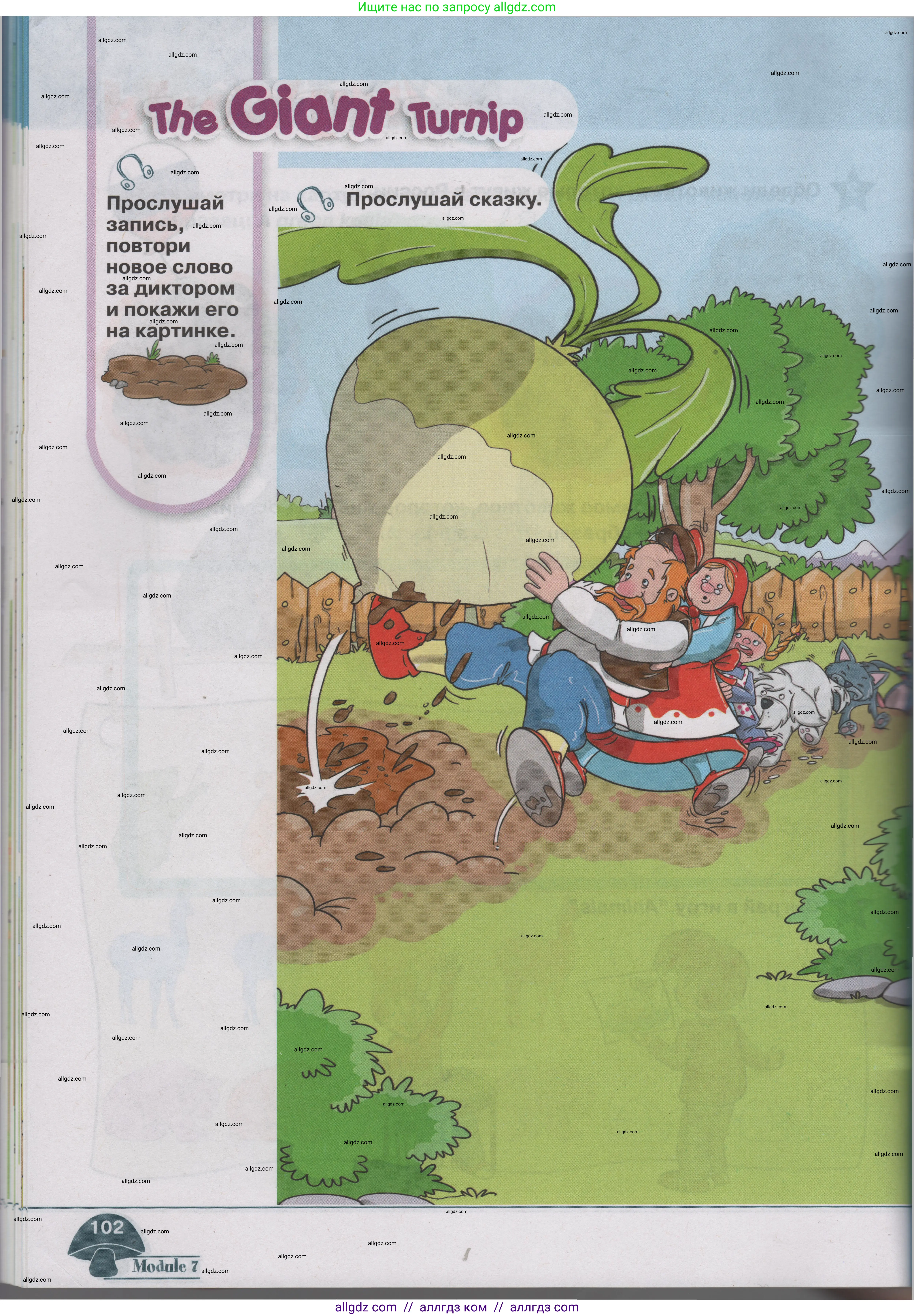 Английский язык (english), 1 класс Учебник (Student's book), авторы: Баранова Ксения Михайловна (Baranova Ksenia), Дули Дженни (Dooley Jenny), Копылова Виктория Викторовна (Kopylova Victoria), Мильруд Радислав Петрович (Millrood Radislav), Эванс Вирджиния (Evans Virginia), издательство Просвещение, Москва, 2019, белого цвета, страница 102