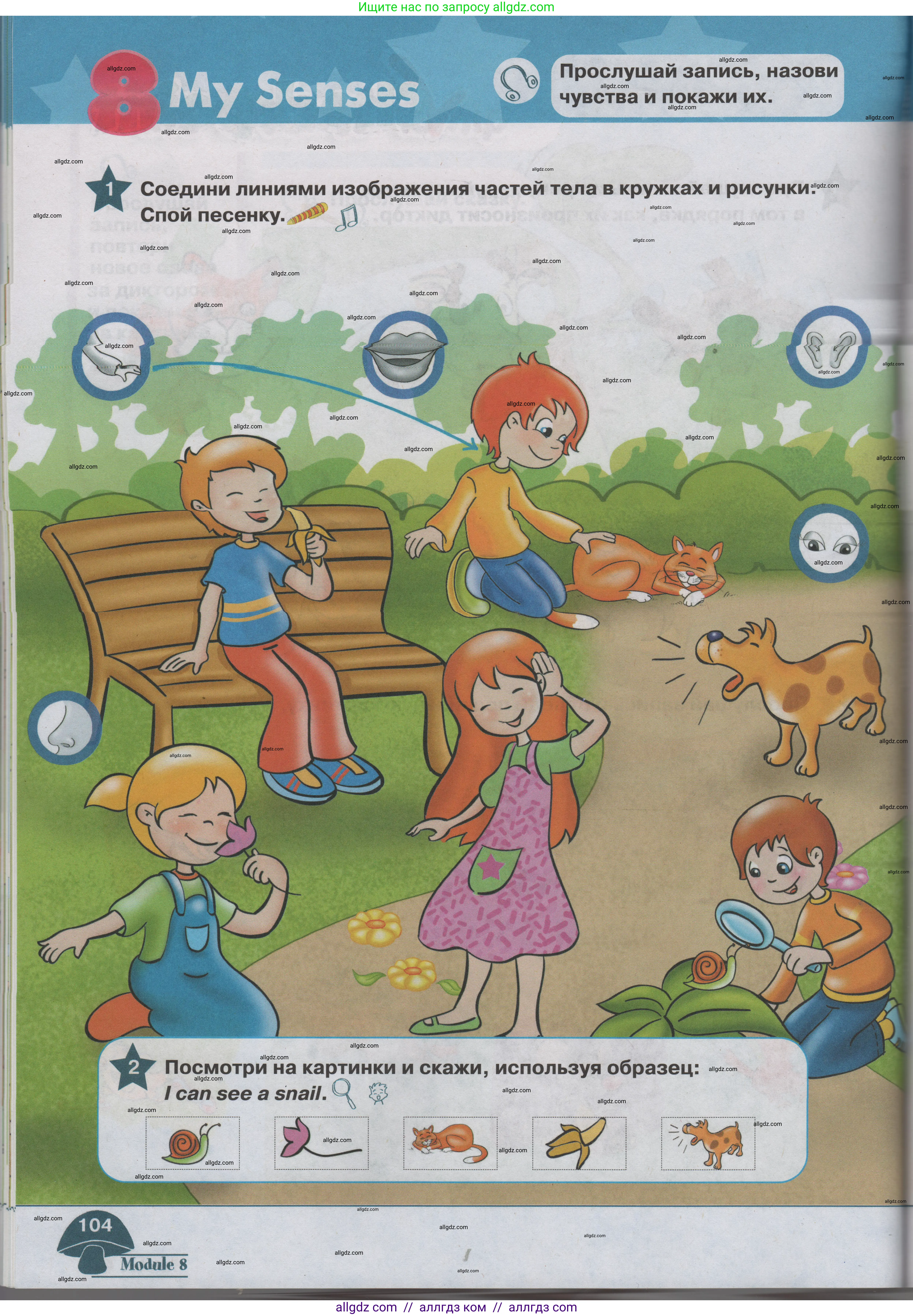 Английский язык (english), 1 класс Учебник (Student's book), авторы: Баранова Ксения Михайловна (Baranova Ksenia), Дули Дженни (Dooley Jenny), Копылова Виктория Викторовна (Kopylova Victoria), Мильруд Радислав Петрович (Millrood Radislav), Эванс Вирджиния (Evans Virginia), издательство Просвещение, Москва, 2019, белого цвета, страница 104