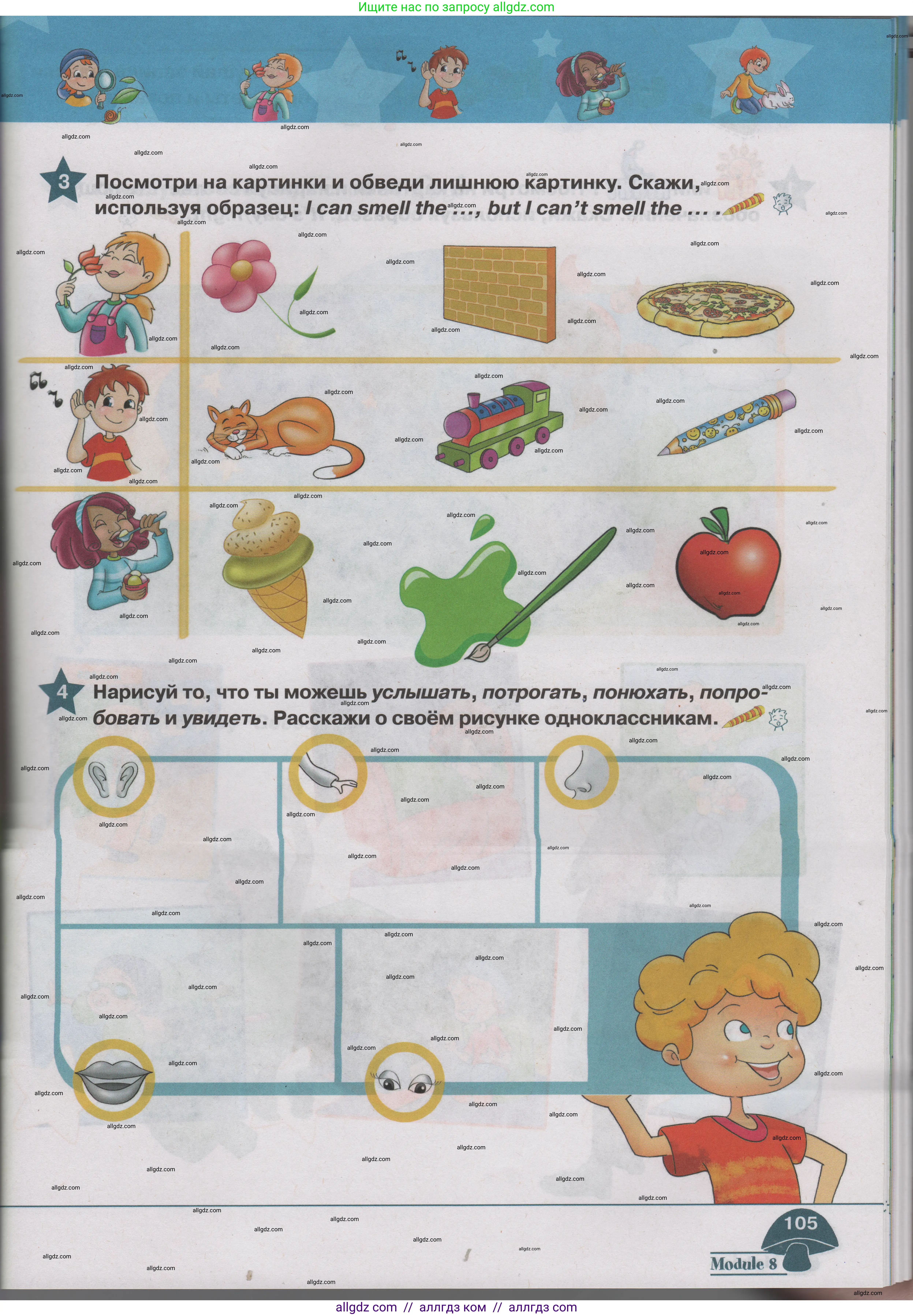 Английский язык (english), 1 класс Учебник (Student's book), авторы: Баранова Ксения Михайловна (Baranova Ksenia), Дули Дженни (Dooley Jenny), Копылова Виктория Викторовна (Kopylova Victoria), Мильруд Радислав Петрович (Millrood Radislav), Эванс Вирджиния (Evans Virginia), издательство Просвещение, Москва, 2019, белого цвета, страница 105