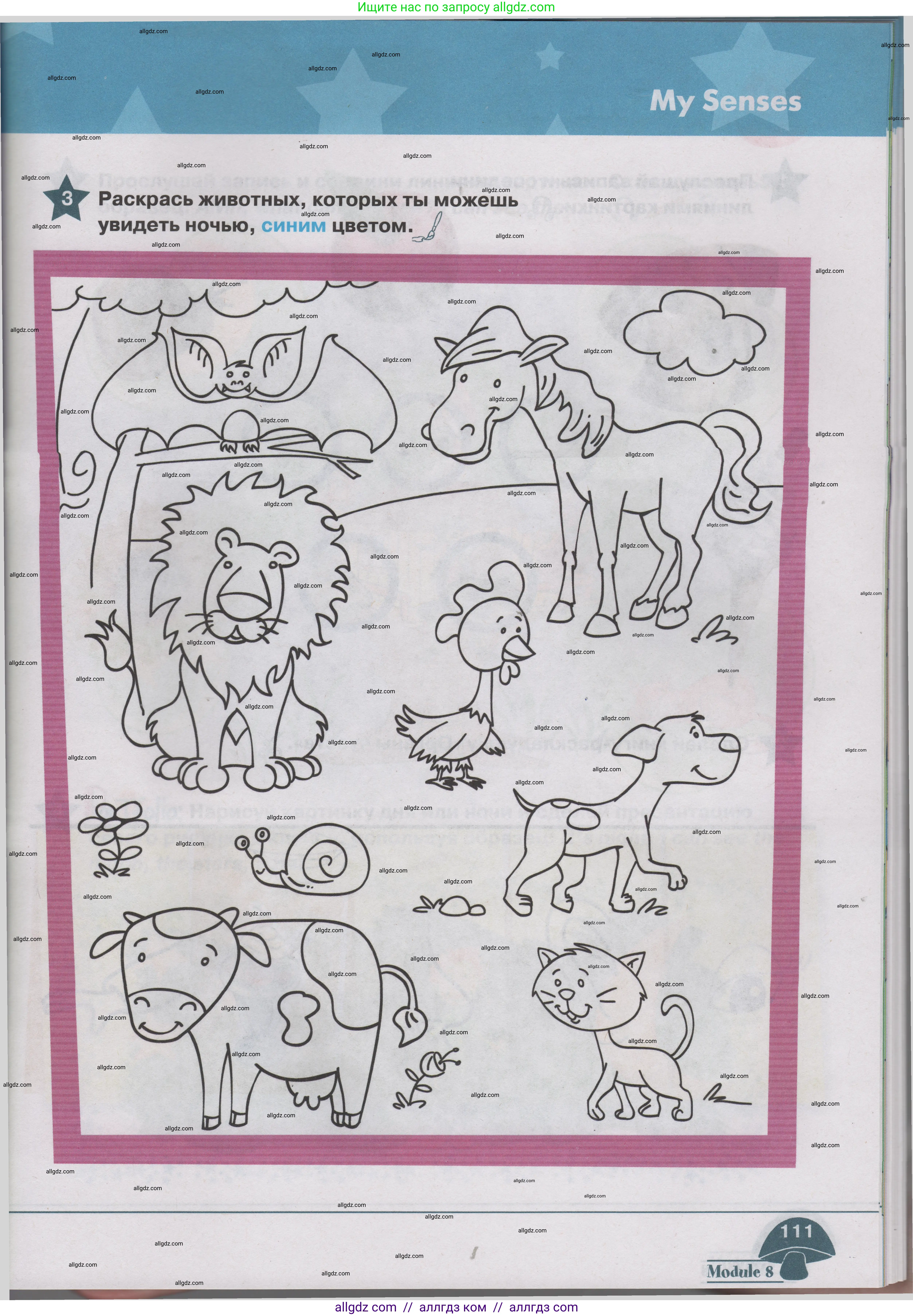 Английский язык (english), 1 класс Учебник (Student's book), авторы: Баранова Ксения Михайловна (Baranova Ksenia), Дули Дженни (Dooley Jenny), Копылова Виктория Викторовна (Kopylova Victoria), Мильруд Радислав Петрович (Millrood Radislav), Эванс Вирджиния (Evans Virginia), издательство Просвещение, Москва, 2019, белого цвета, страница 111