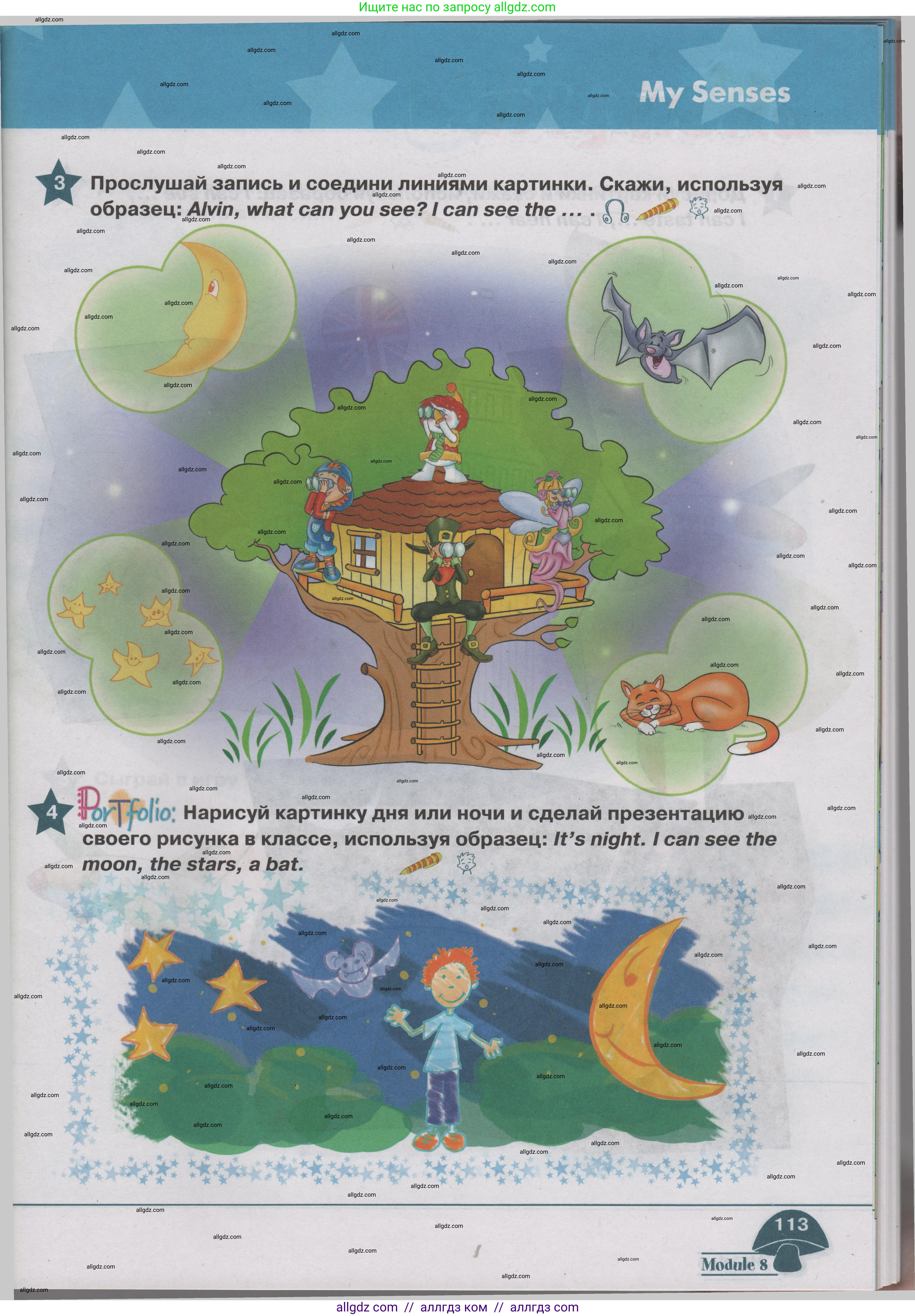 Английский язык (english), 1 класс Учебник (Student's book), авторы: Баранова Ксения Михайловна (Baranova Ksenia), Дули Дженни (Dooley Jenny), Копылова Виктория Викторовна (Kopylova Victoria), Мильруд Радислав Петрович (Millrood Radislav), Эванс Вирджиния (Evans Virginia), издательство Просвещение, Москва, 2019, белого цвета, страница 113