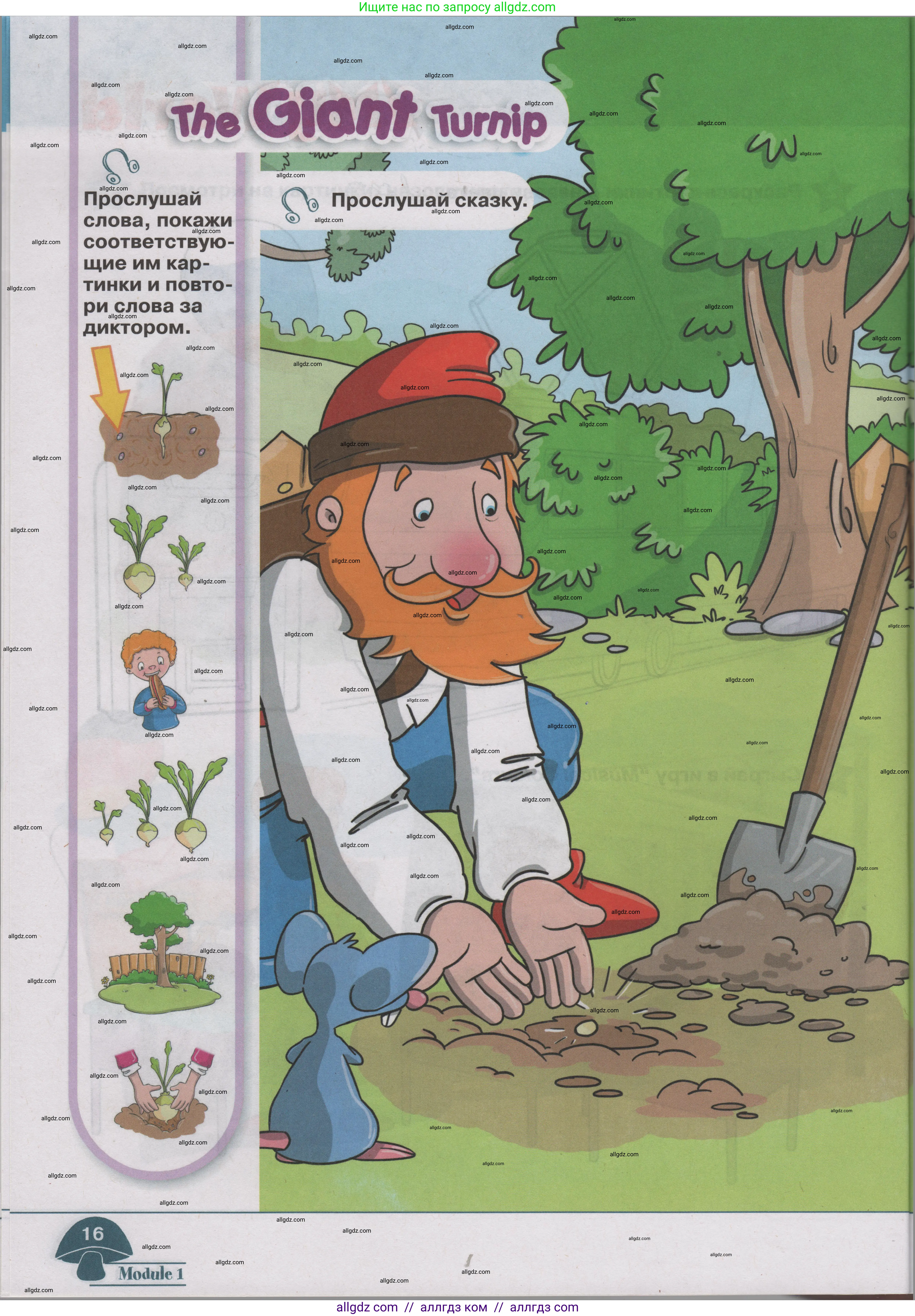 Английский язык (english), 1 класс Учебник (Student's book), авторы: Баранова Ксения Михайловна (Baranova Ksenia), Дули Дженни (Dooley Jenny), Копылова Виктория Викторовна (Kopylova Victoria), Мильруд Радислав Петрович (Millrood Radislav), Эванс Вирджиния (Evans Virginia), издательство Просвещение, Москва, 2019, белого цвета, страница 16