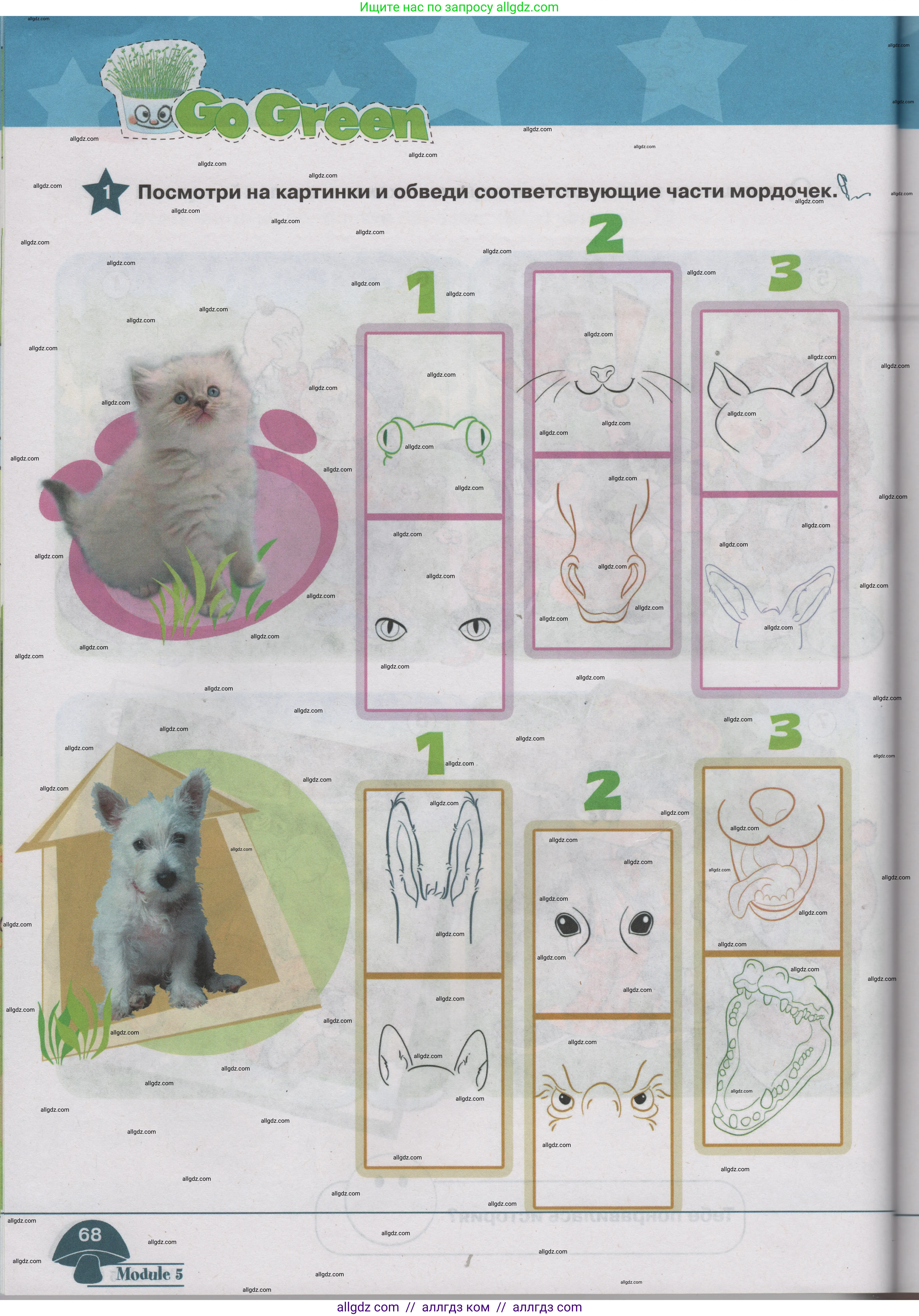 Английский язык (english), 1 класс Учебник (Student's book), авторы: Баранова Ксения Михайловна (Baranova Ksenia), Дули Дженни (Dooley Jenny), Копылова Виктория Викторовна (Kopylova Victoria), Мильруд Радислав Петрович (Millrood Radislav), Эванс Вирджиния (Evans Virginia), издательство Просвещение, Москва, 2019, белого цвета, страница 68