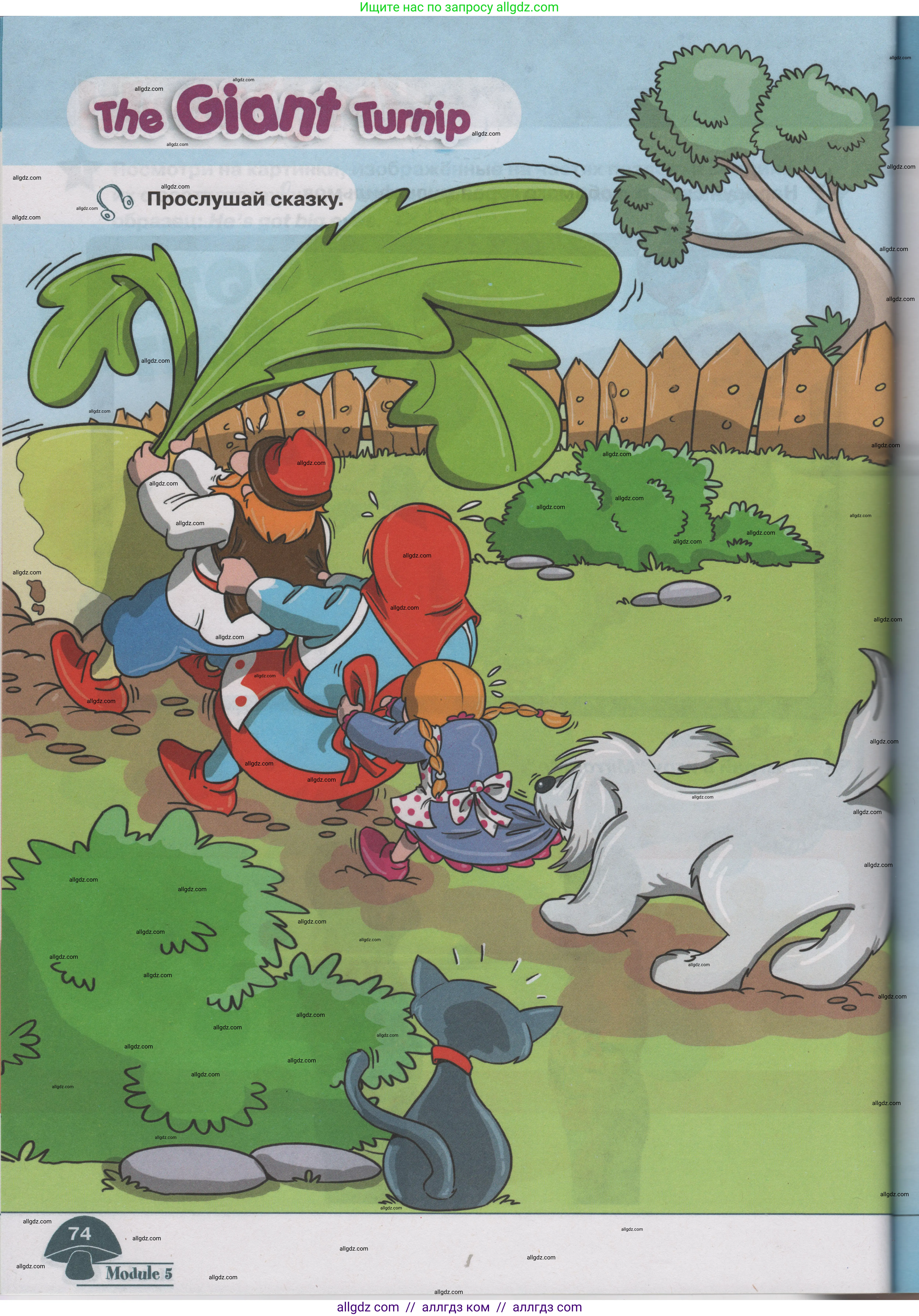 Английский язык (english), 1 класс Учебник (Student's book), авторы: Баранова Ксения Михайловна (Baranova Ksenia), Дули Дженни (Dooley Jenny), Копылова Виктория Викторовна (Kopylova Victoria), Мильруд Радислав Петрович (Millrood Radislav), Эванс Вирджиния (Evans Virginia), издательство Просвещение, Москва, 2019, белого цвета, страница 74