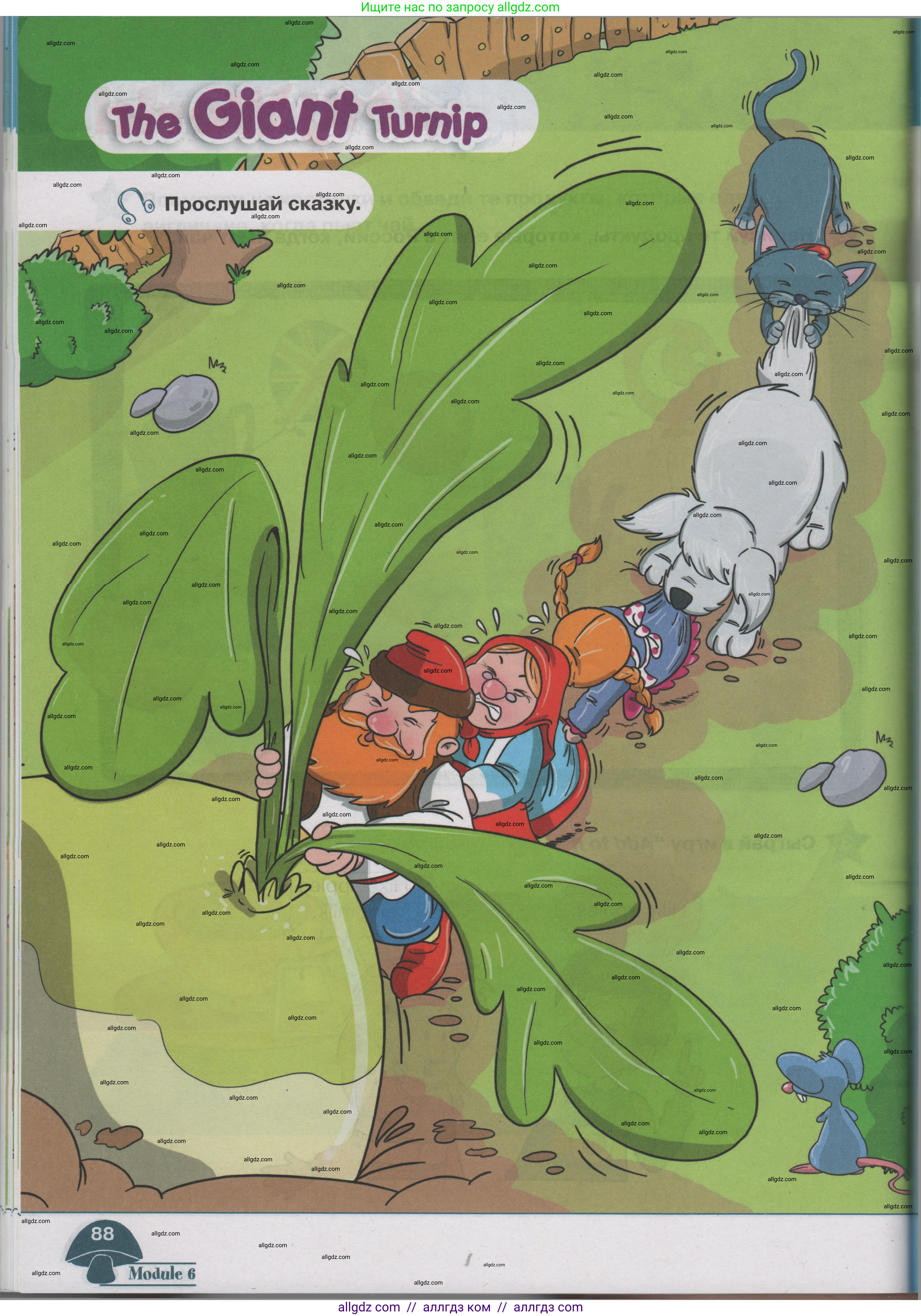 Английский язык (english), 1 класс Учебник (Student's book), авторы: Баранова Ксения Михайловна (Baranova Ksenia), Дули Дженни (Dooley Jenny), Копылова Виктория Викторовна (Kopylova Victoria), Мильруд Радислав Петрович (Millrood Radislav), Эванс Вирджиния (Evans Virginia), издательство Просвещение, Москва, 2019, белого цвета, страница 88