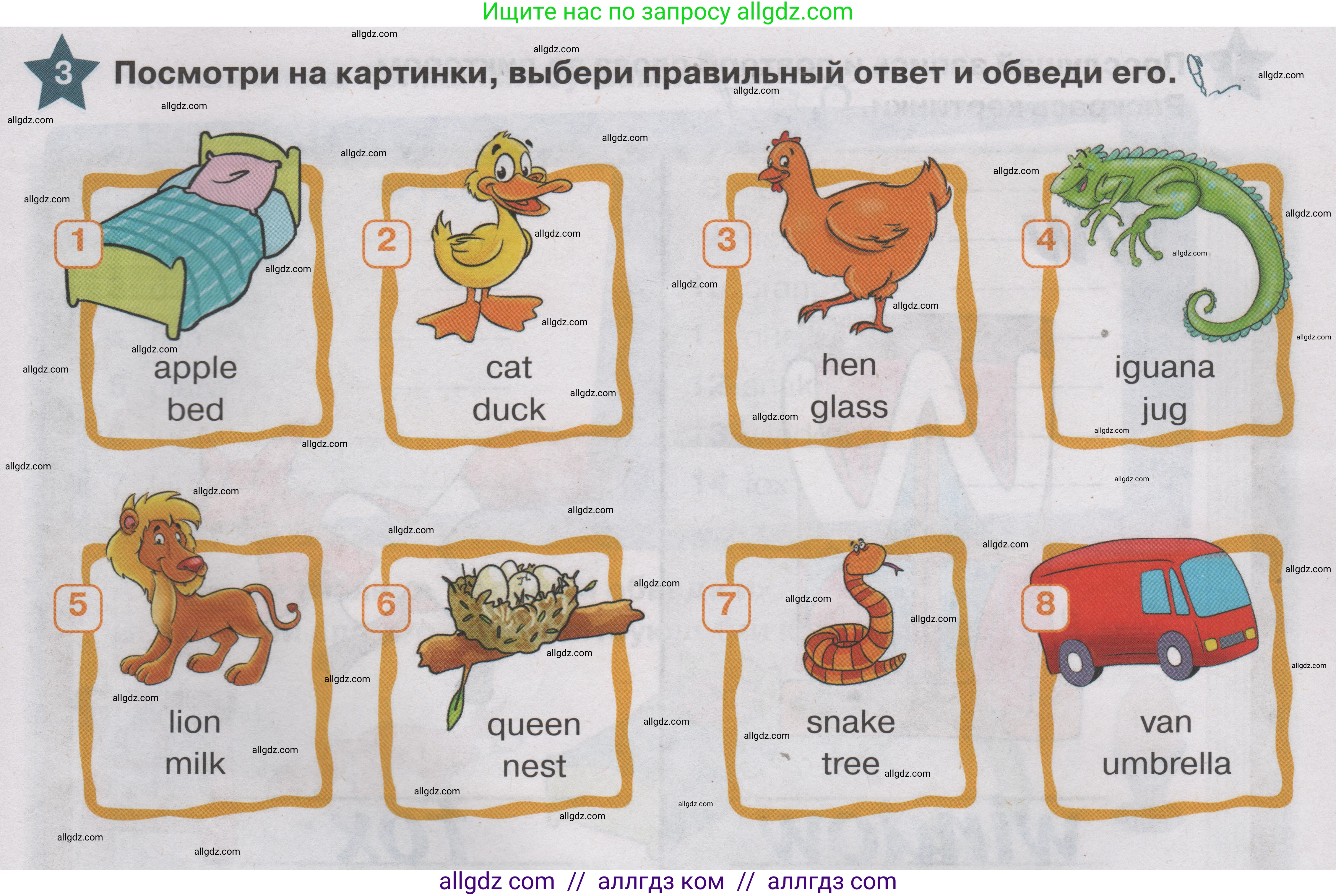 Английский язык (english), 1 класс Учебник (Student's book), авторы: Баранова Ксения Михайловна (Baranova Ksenia), Дули Дженни (Dooley Jenny), Копылова Виктория Викторовна (Kopylova Victoria), Мильруд Радислав Петрович (Millrood Radislav), Эванс Вирджиния (Evans Virginia), издательство Просвещение, Москва, 2019, белого цвета, страница 147, номер 3, Условие