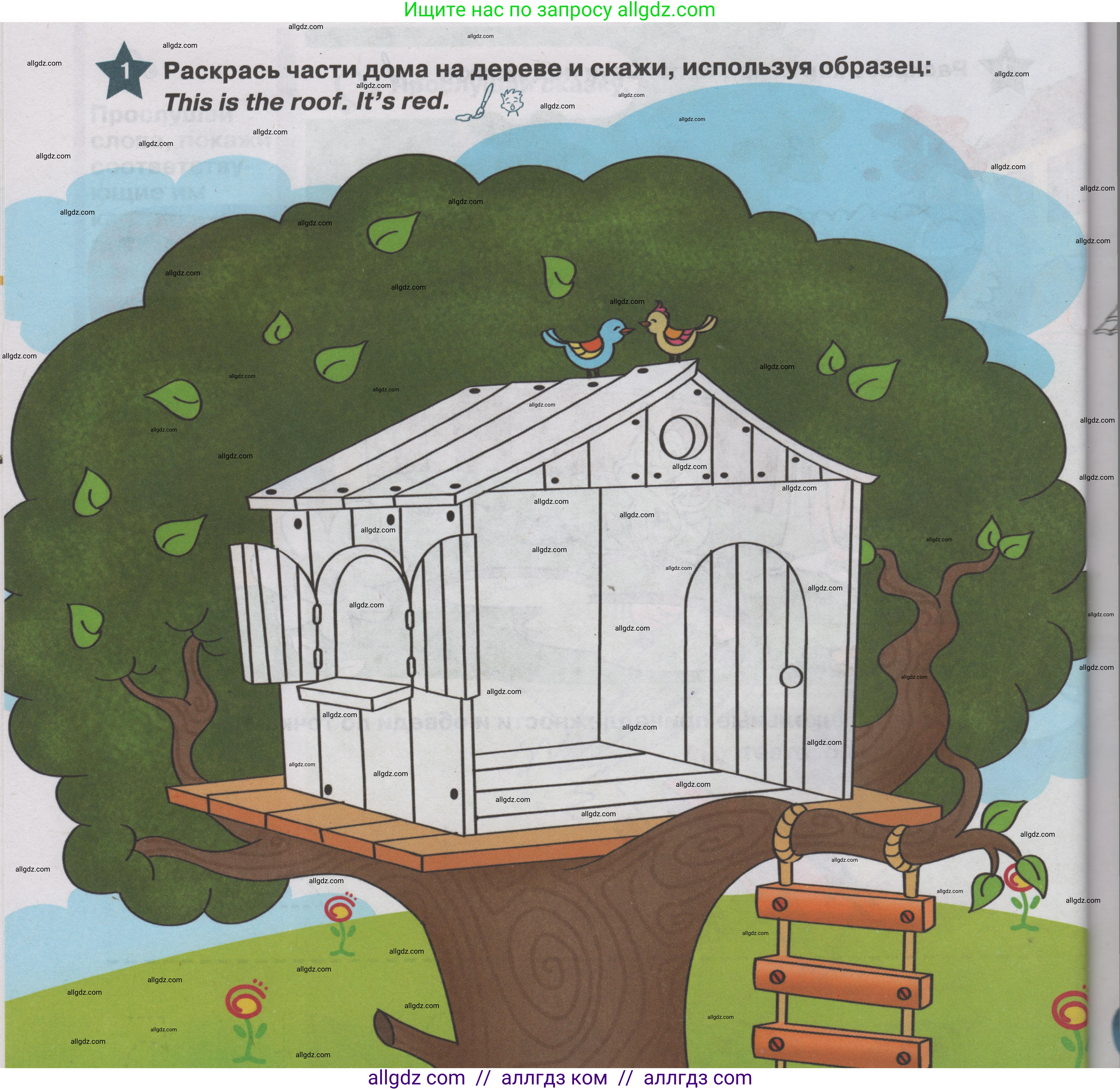 Английский язык (english), 1 класс Учебник (Student's book), авторы: Баранова Ксения Михайловна (Baranova Ksenia), Дули Дженни (Dooley Jenny), Копылова Виктория Викторовна (Kopylova Victoria), Мильруд Радислав Петрович (Millrood Radislav), Эванс Вирджиния (Evans Virginia), издательство Просвещение, Москва, 2019, белого цвета, страница 34, номер 1, Условие