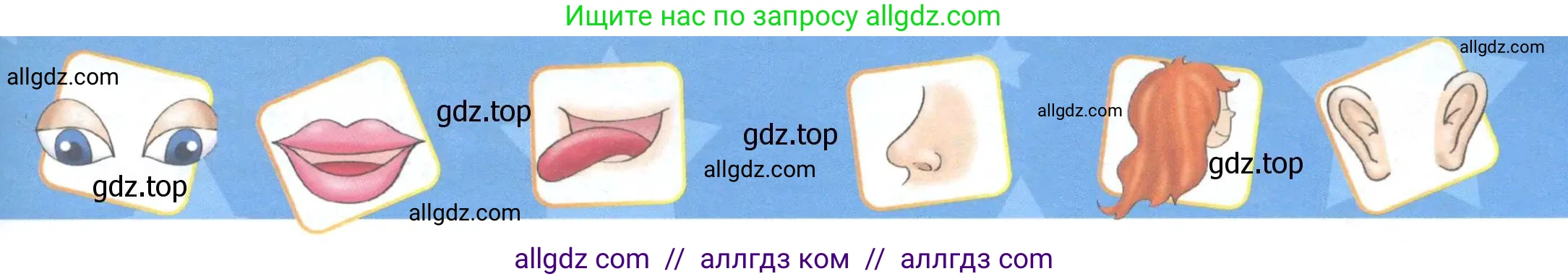 Английский язык (english), 1 класс Учебник (Student's book), авторы: Баранова Ксения Михайловна (Baranova Ksenia), Дули Дженни (Dooley Jenny), Копылова Виктория Викторовна (Kopylova Victoria), Мильруд Радислав Петрович (Millrood Radislav), Эванс Вирджиния (Evans Virginia), издательство Просвещение, Москва, 2019, белого цвета, страница 62, Условие (продолжение 2)