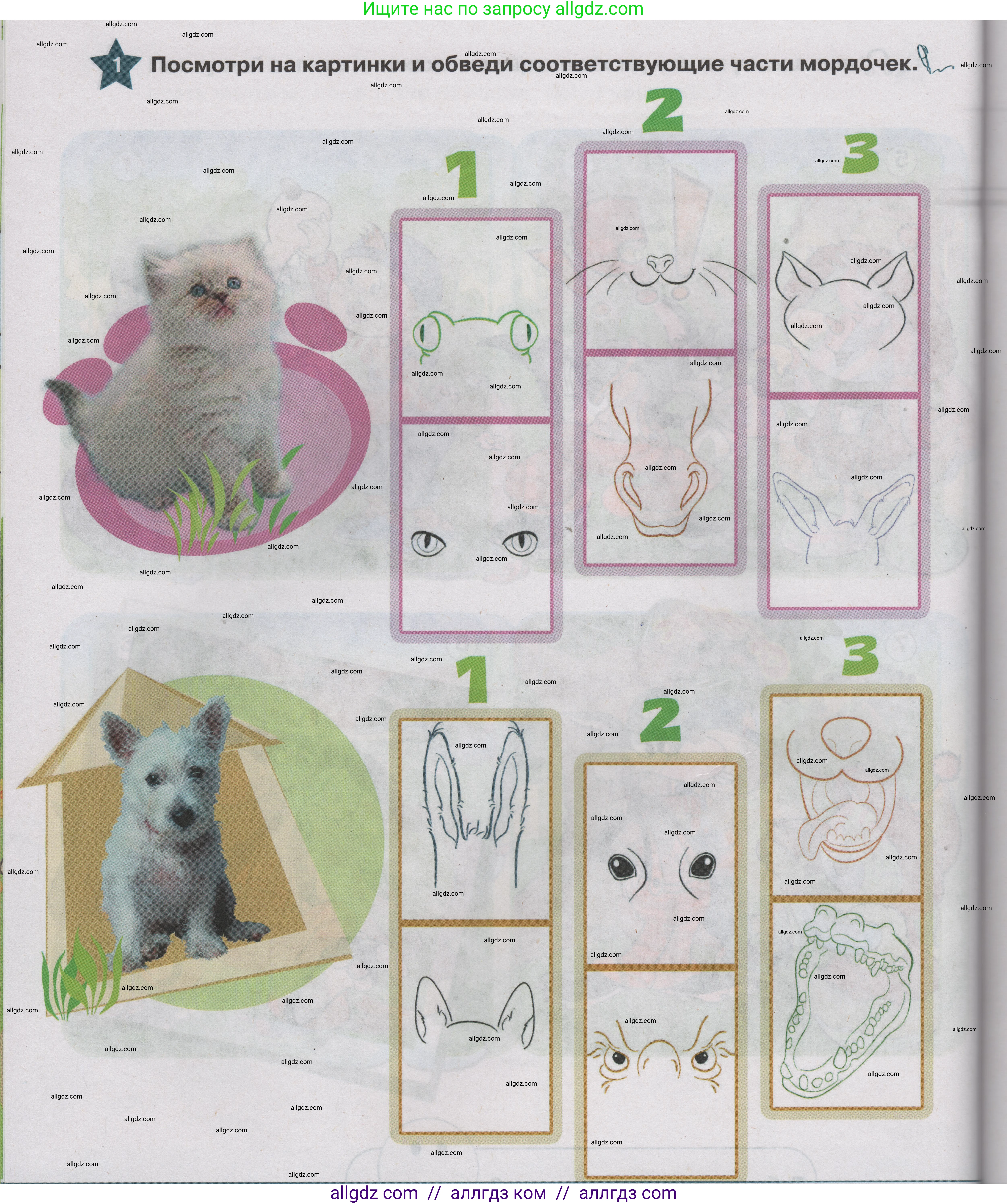 Английский язык (english), 1 класс Учебник (Student's book), авторы: Баранова Ксения Михайловна (Baranova Ksenia), Дули Дженни (Dooley Jenny), Копылова Виктория Викторовна (Kopylova Victoria), Мильруд Радислав Петрович (Millrood Radislav), Эванс Вирджиния (Evans Virginia), издательство Просвещение, Москва, 2019, белого цвета, страница 68, номер 1, Условие