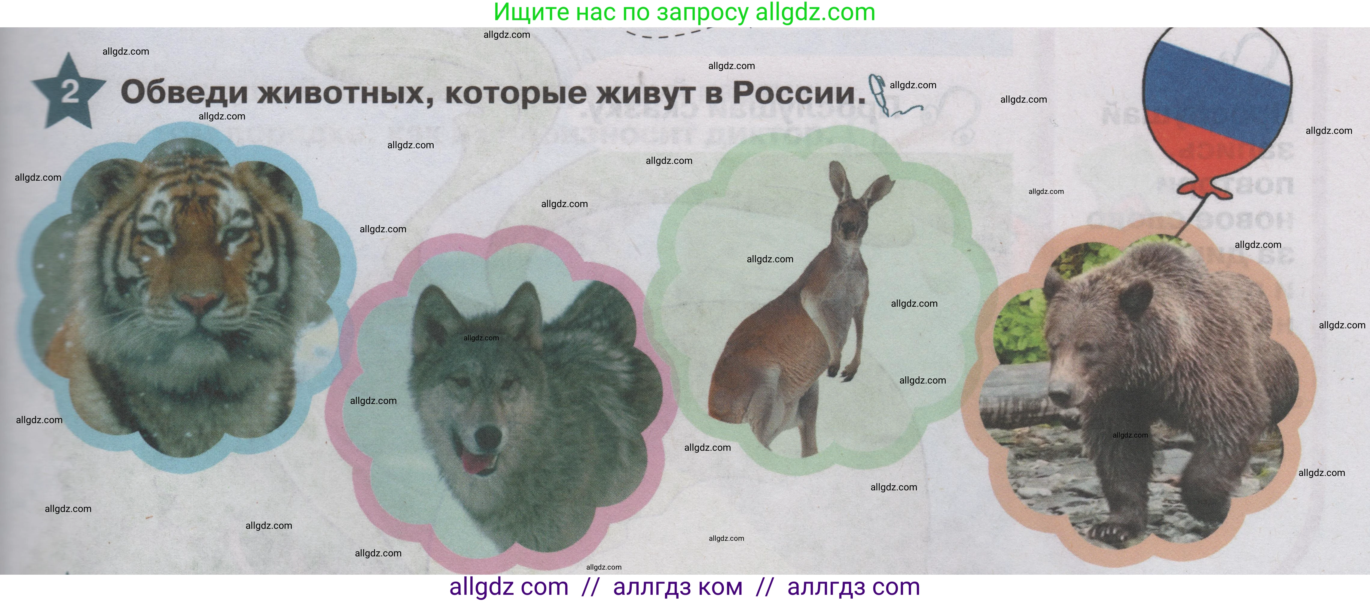 Английский язык (english), 1 класс Учебник (Student's book), авторы: Баранова Ксения Михайловна (Baranova Ksenia), Дули Дженни (Dooley Jenny), Копылова Виктория Викторовна (Kopylova Victoria), Мильруд Радислав Петрович (Millrood Radislav), Эванс Вирджиния (Evans Virginia), издательство Просвещение, Москва, 2019, белого цвета, страница 101, номер 2, Условие