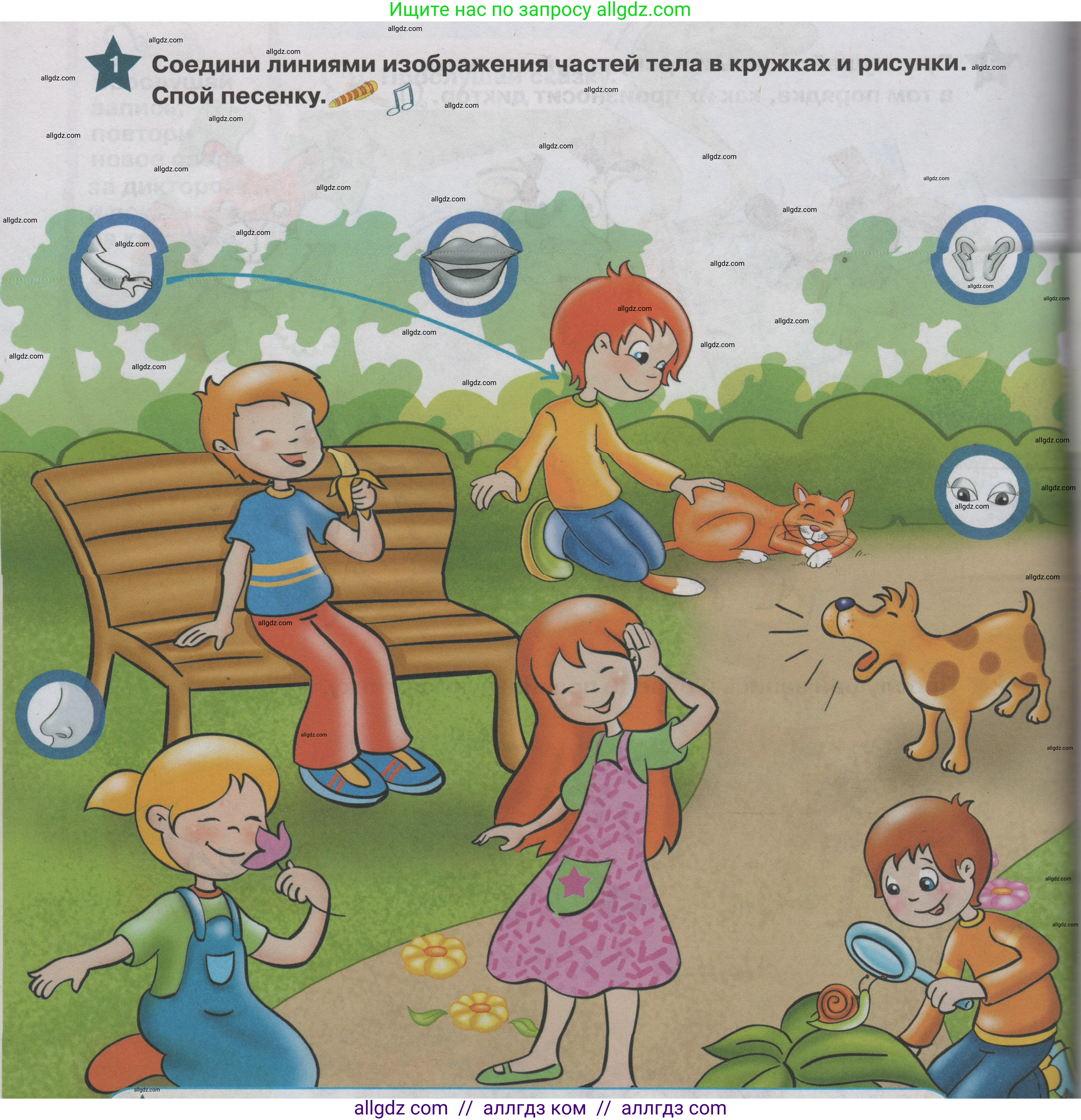 Английский язык (english), 1 класс Учебник (Student's book), авторы: Баранова Ксения Михайловна (Baranova Ksenia), Дули Дженни (Dooley Jenny), Копылова Виктория Викторовна (Kopylova Victoria), Мильруд Радислав Петрович (Millrood Radislav), Эванс Вирджиния (Evans Virginia), издательство Просвещение, Москва, 2019, белого цвета, страница 104, номер 1, Условие