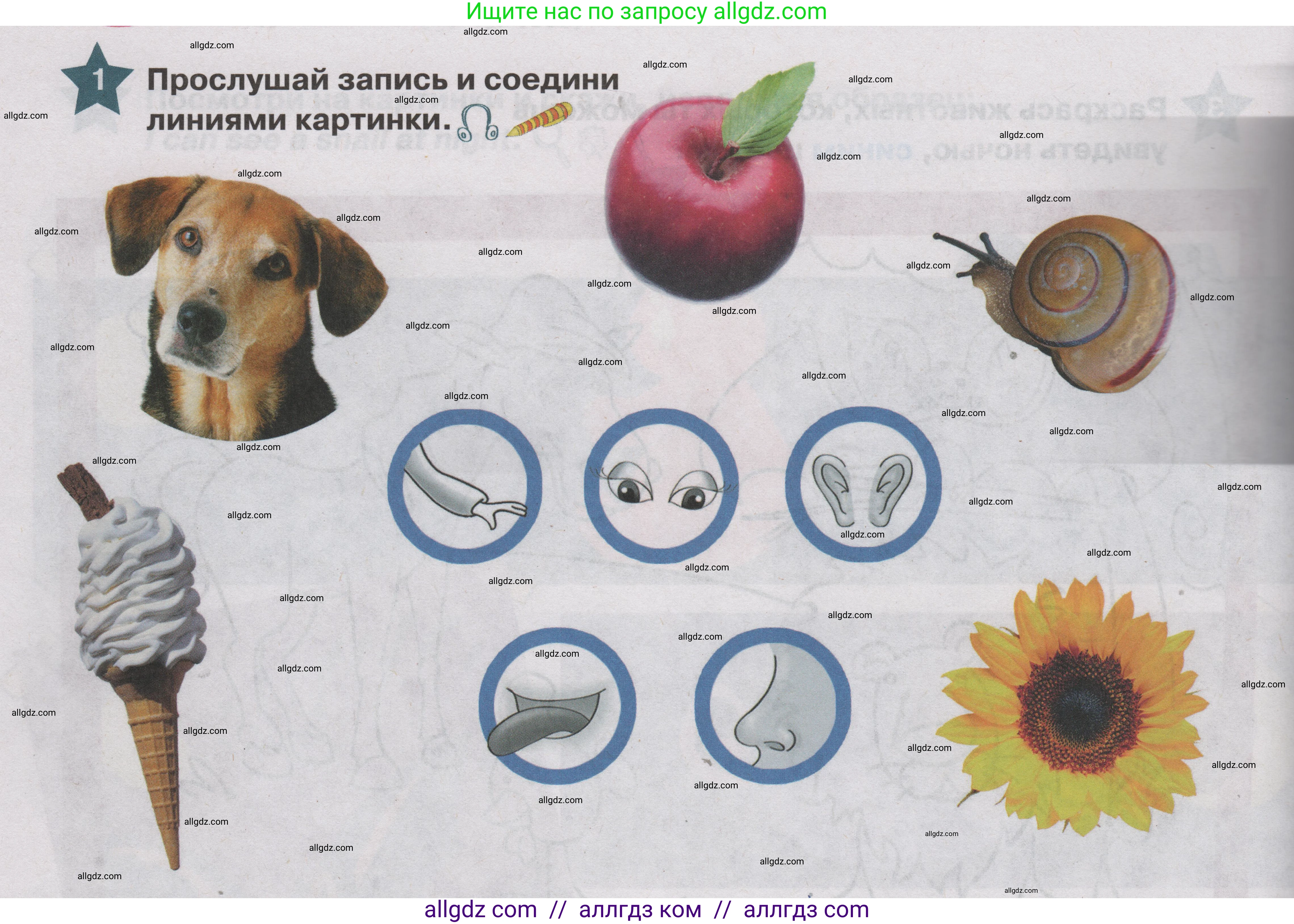 Английский язык (english), 1 класс Учебник (Student's book), авторы: Баранова Ксения Михайловна (Baranova Ksenia), Дули Дженни (Dooley Jenny), Копылова Виктория Викторовна (Kopylova Victoria), Мильруд Радислав Петрович (Millrood Radislav), Эванс Вирджиния (Evans Virginia), издательство Просвещение, Москва, 2019, белого цвета, страница 112, номер 1, Условие