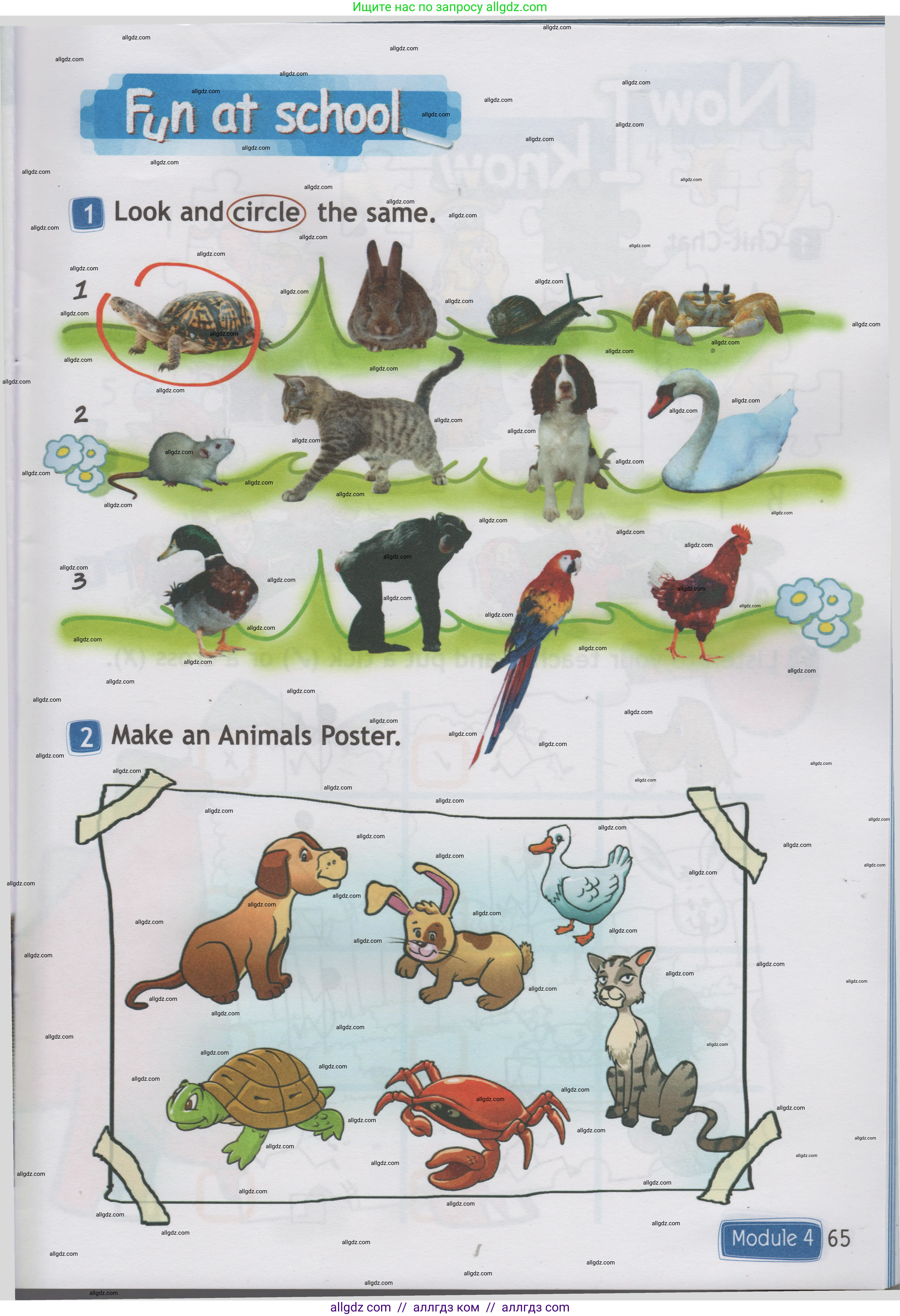 Английский язык (english), 1 класс Учебник (Student's book), авторы: Быкова Надежда Ильинична (Bykova Nadezhda), Дули Дженни (Dooley Jenny), Поспелова Марина Давидовна (Pospelova Marina), Эванс Вирджиния (Evans Virginia), издательство Просвещение, Москва, 2019, страница 65