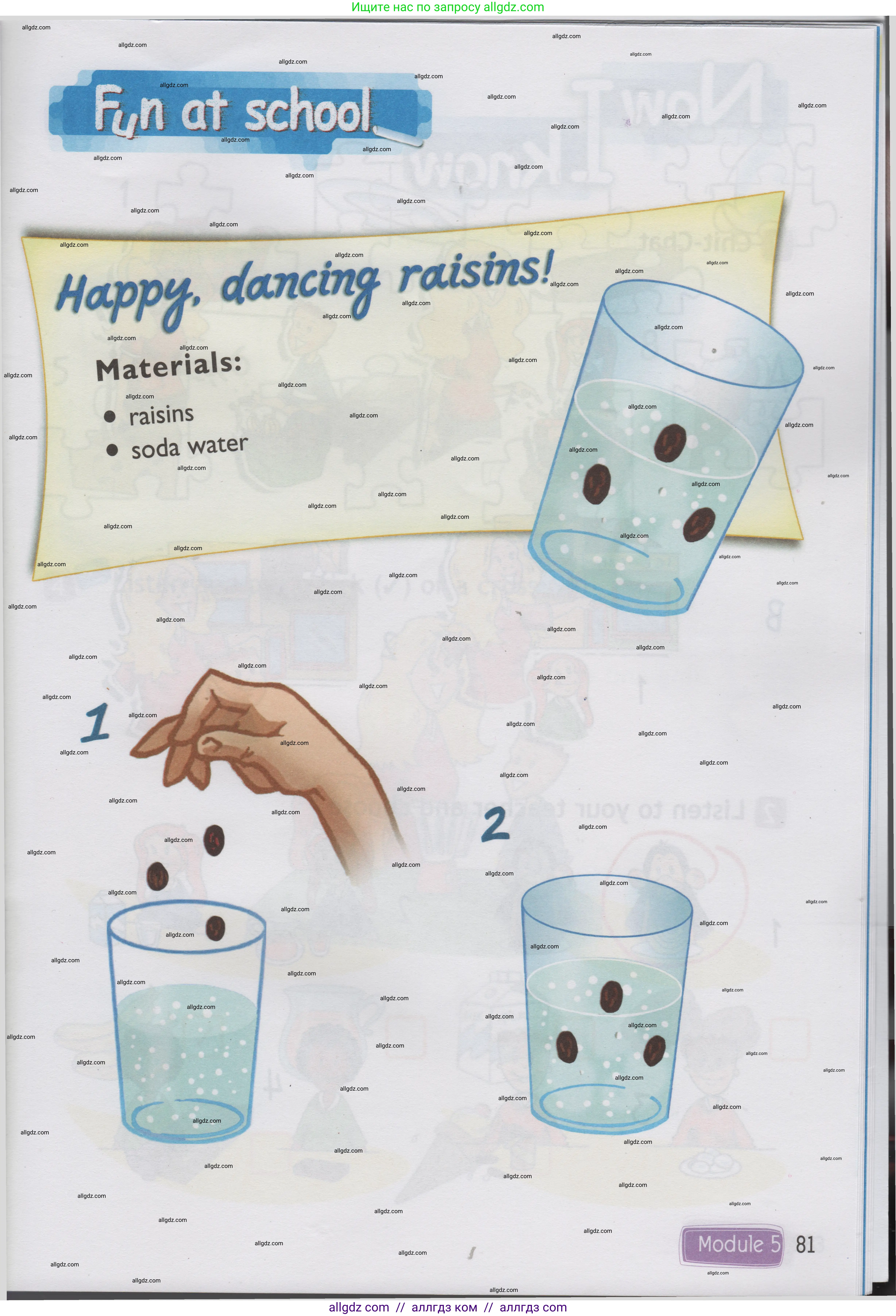 Английский язык (english), 1 класс Учебник (Student's book), авторы: Быкова Надежда Ильинична (Bykova Nadezhda), Дули Дженни (Dooley Jenny), Поспелова Марина Давидовна (Pospelova Marina), Эванс Вирджиния (Evans Virginia), издательство Просвещение, Москва, 2019, страница 81