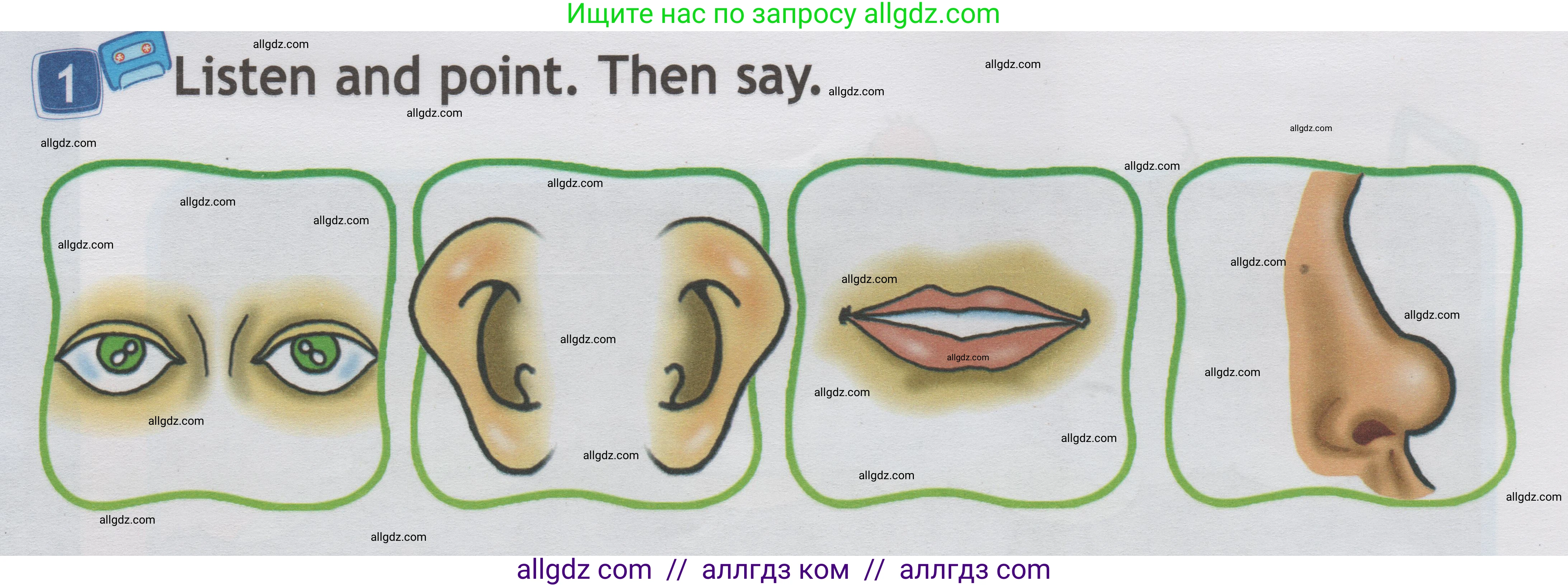 Английский язык (english), 1 класс Учебник (Student's book), авторы: Быкова Надежда Ильинична (Bykova Nadezhda), Дули Дженни (Dooley Jenny), Поспелова Марина Давидовна (Pospelova Marina), Эванс Вирджиния (Evans Virginia), издательство Просвещение, Москва, 2019, страница 56, номер 1, Условие