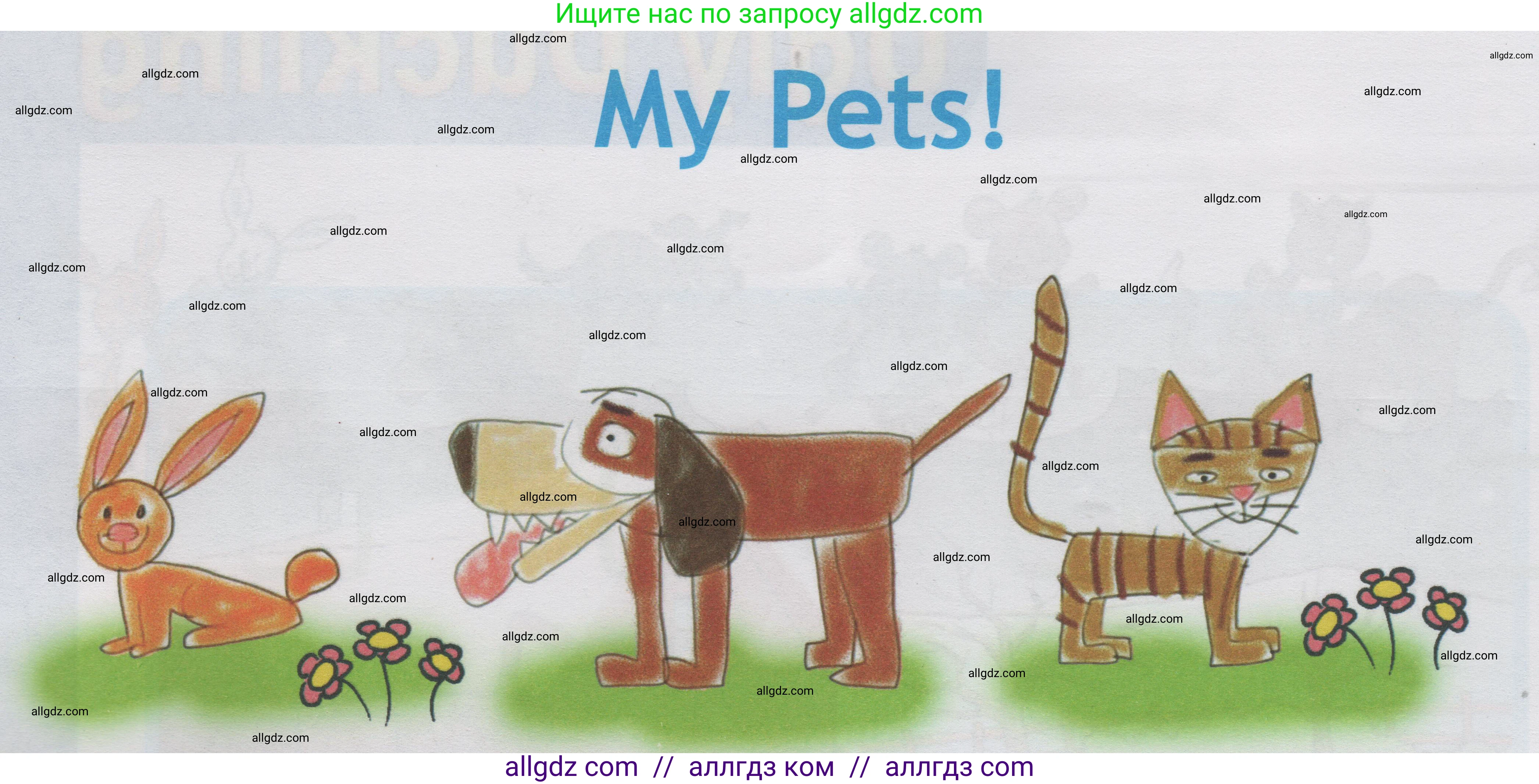 Английский язык (english), 1 класс Учебник (Student's book), авторы: Быкова Надежда Ильинична (Bykova Nadezhda), Дули Дженни (Dooley Jenny), Поспелова Марина Давидовна (Pospelova Marina), Эванс Вирджиния (Evans Virginia), издательство Просвещение, Москва, 2019, страница 64, Условие