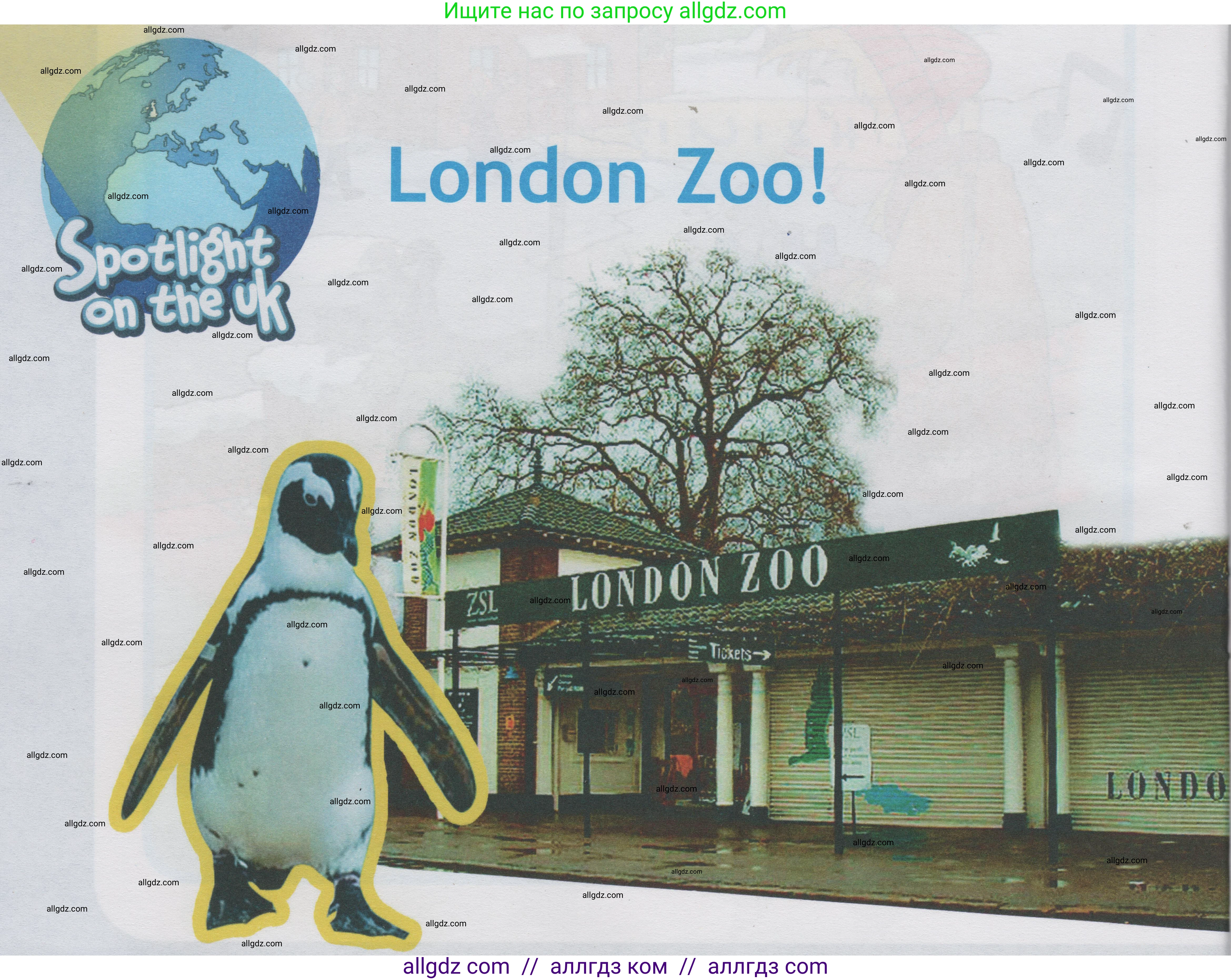 Английский язык (english), 1 класс Учебник (Student's book), авторы: Быкова Надежда Ильинична (Bykova Nadezhda), Дули Дженни (Dooley Jenny), Поспелова Марина Давидовна (Pospelova Marina), Эванс Вирджиния (Evans Virginia), издательство Просвещение, Москва, 2019, страница 64, Условие