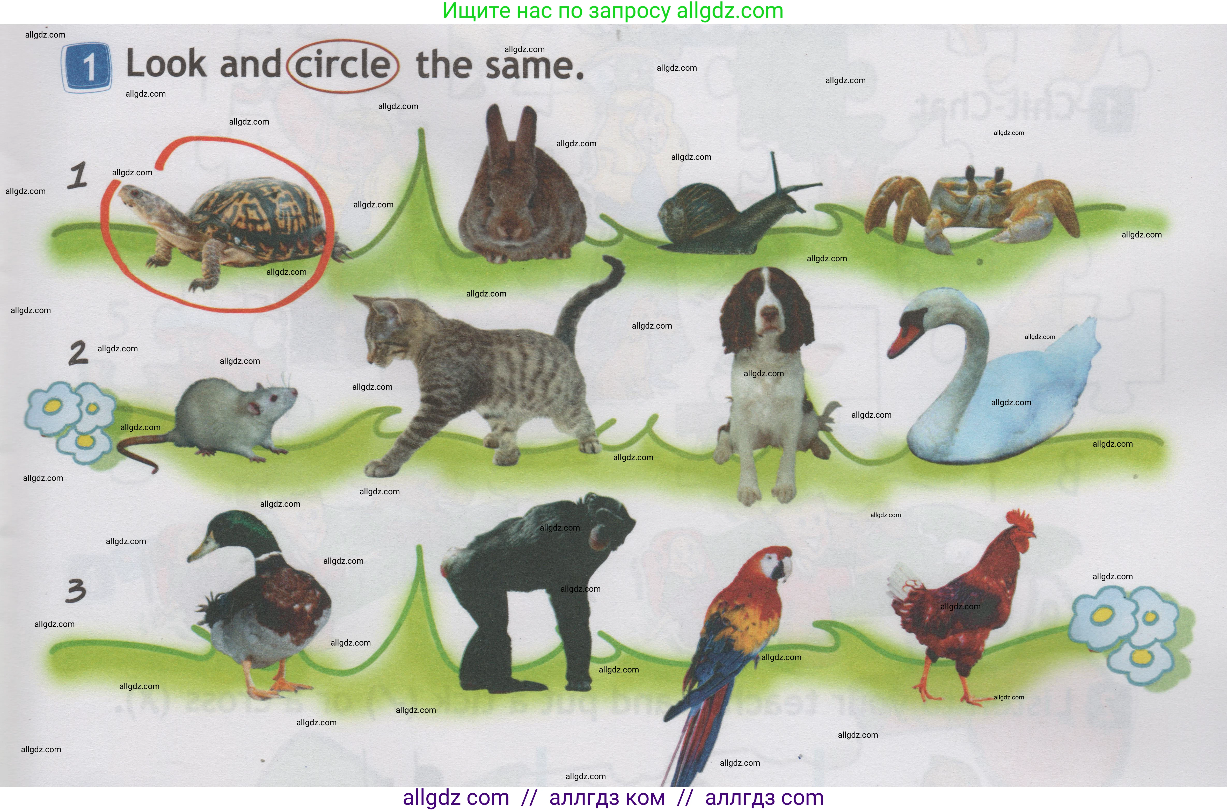 Английский язык (english), 1 класс Учебник (Student's book), авторы: Быкова Надежда Ильинична (Bykova Nadezhda), Дули Дженни (Dooley Jenny), Поспелова Марина Давидовна (Pospelova Marina), Эванс Вирджиния (Evans Virginia), издательство Просвещение, Москва, 2019, страница 65, номер 1, Условие