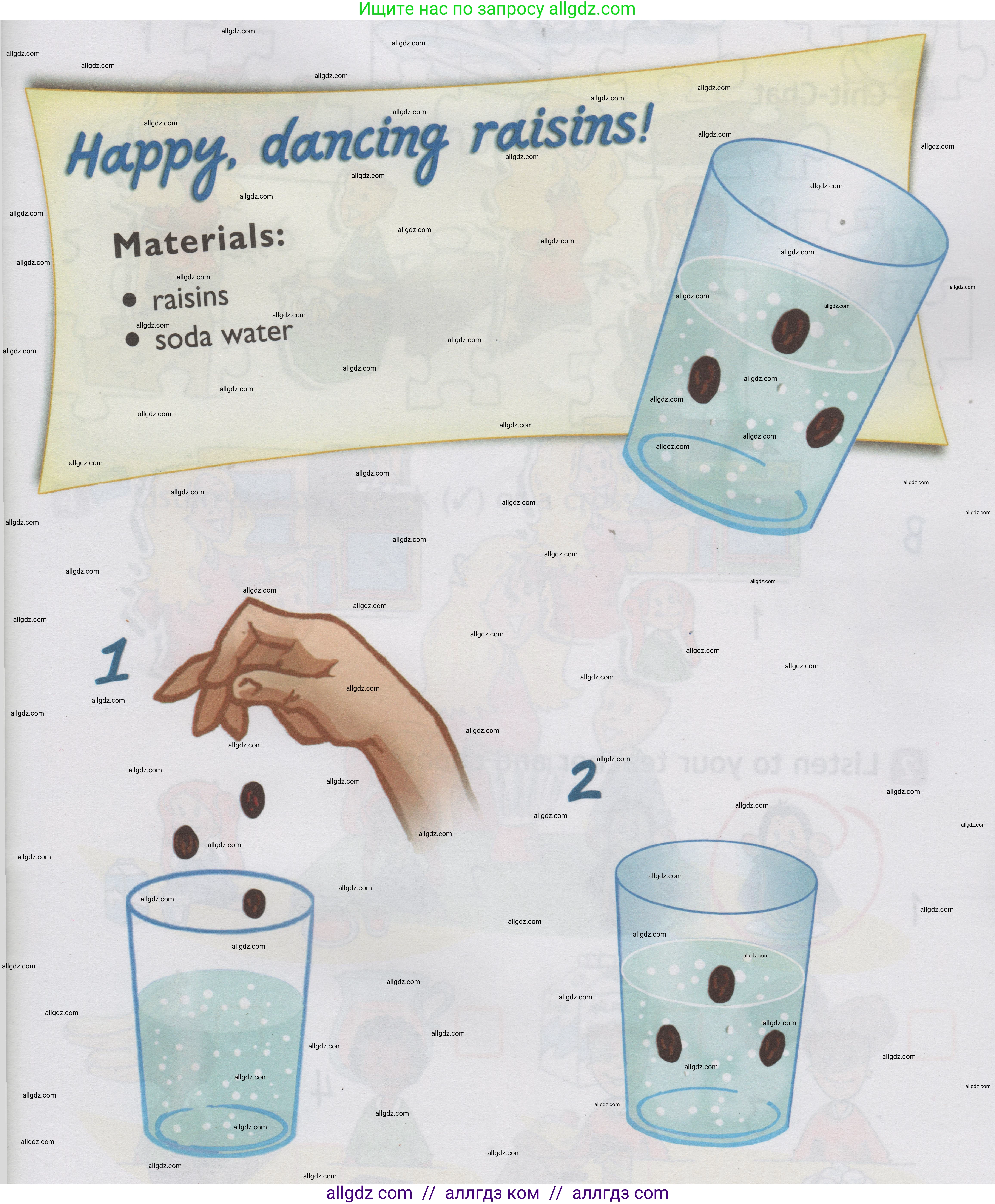 Английский язык (english), 1 класс Учебник (Student's book), авторы: Быкова Надежда Ильинична (Bykova Nadezhda), Дули Дженни (Dooley Jenny), Поспелова Марина Давидовна (Pospelova Marina), Эванс Вирджиния (Evans Virginia), издательство Просвещение, Москва, 2019, страница 81, номер 1, Условие