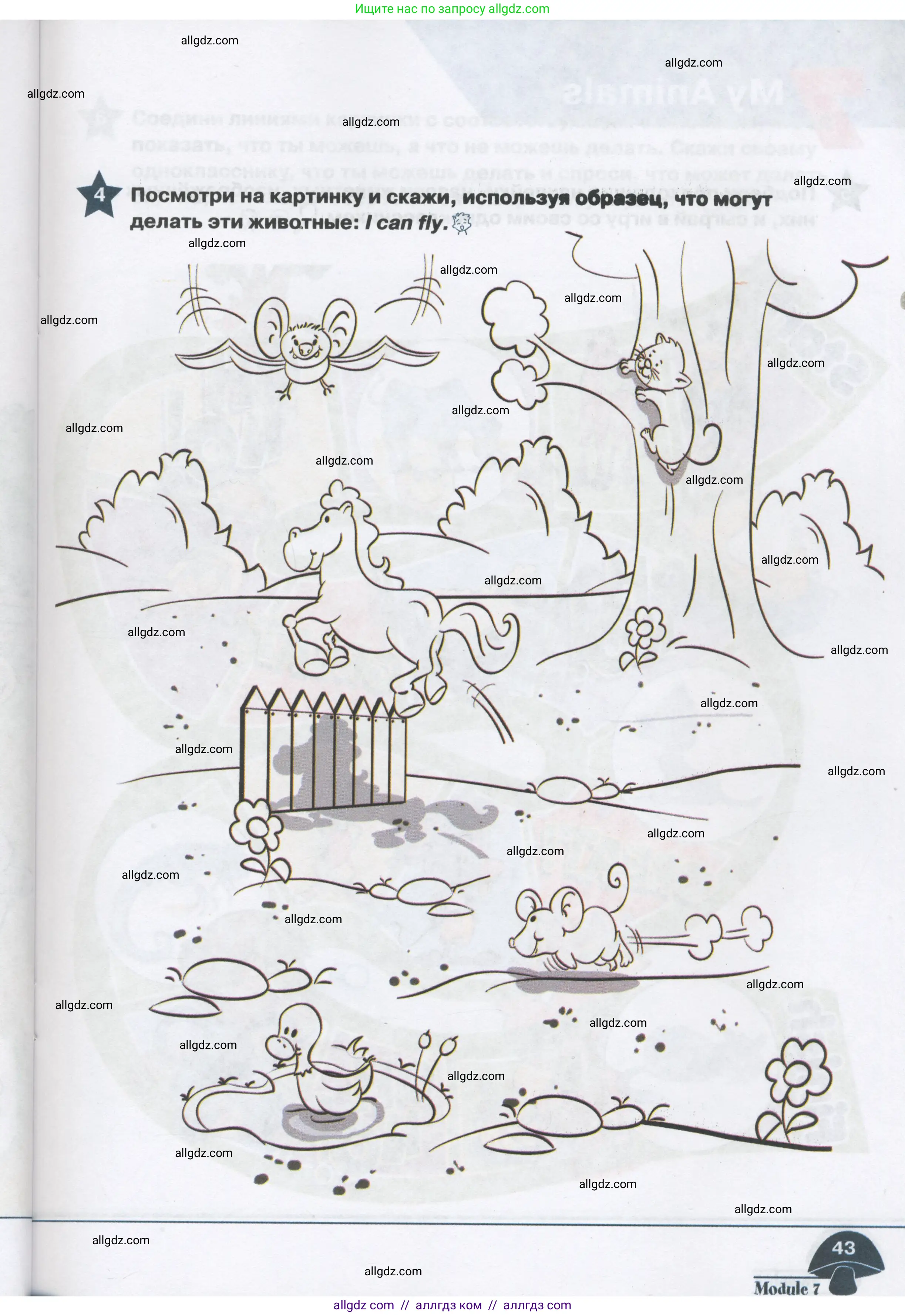 Английский язык (english), 1 класс Рабочая тетрадь (workbook), авторы: Баранова Ксения Михайловна (Baranova Ksenia), Дули Дженни (Dooley Jenny), Копылова Виктория Викторовна (Kopylova Victoria), Мильруд Радислав Петрович (Millrood Radislav), Эванс Вирджиния (Evans Virginia), издательство Просвещение, Москва, 2012, белого цвета, страница 43