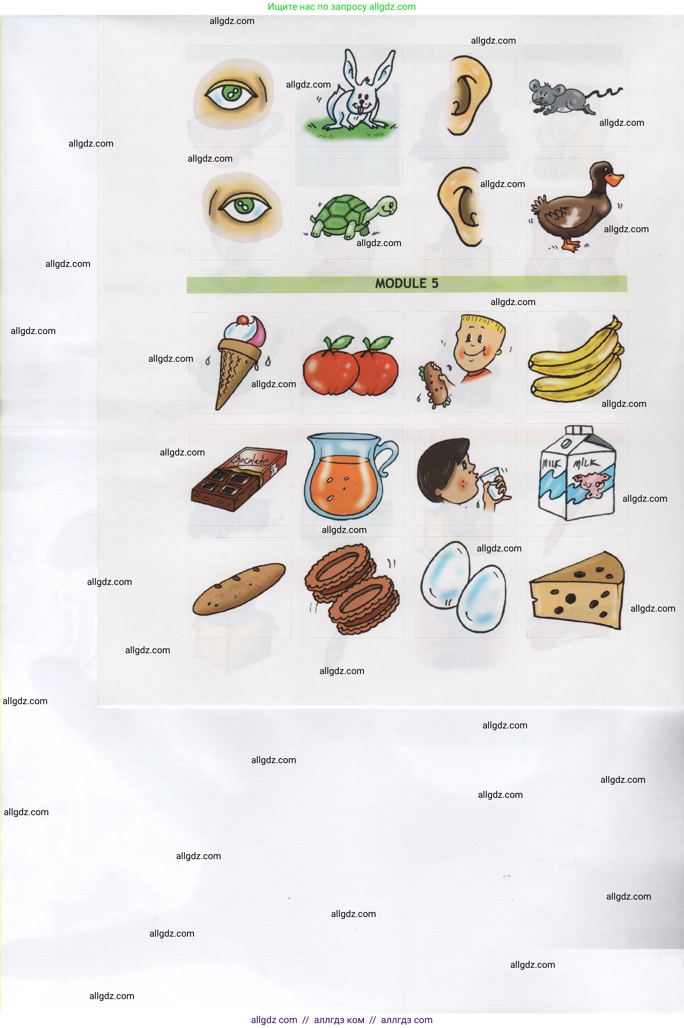 Английский язык (english), 1 класс Рабочая тетрадь (workbook), авторы: Быкова Надежда Ильинична (Bykova Nadezhda), Дули Дженни (Dooley Jenny), Поспелова Марина Давидовна (Pospelova Marina), Эванс Вирджиния (Evans Virginia), издательство Просвещение, Москва, 2012, страница 81