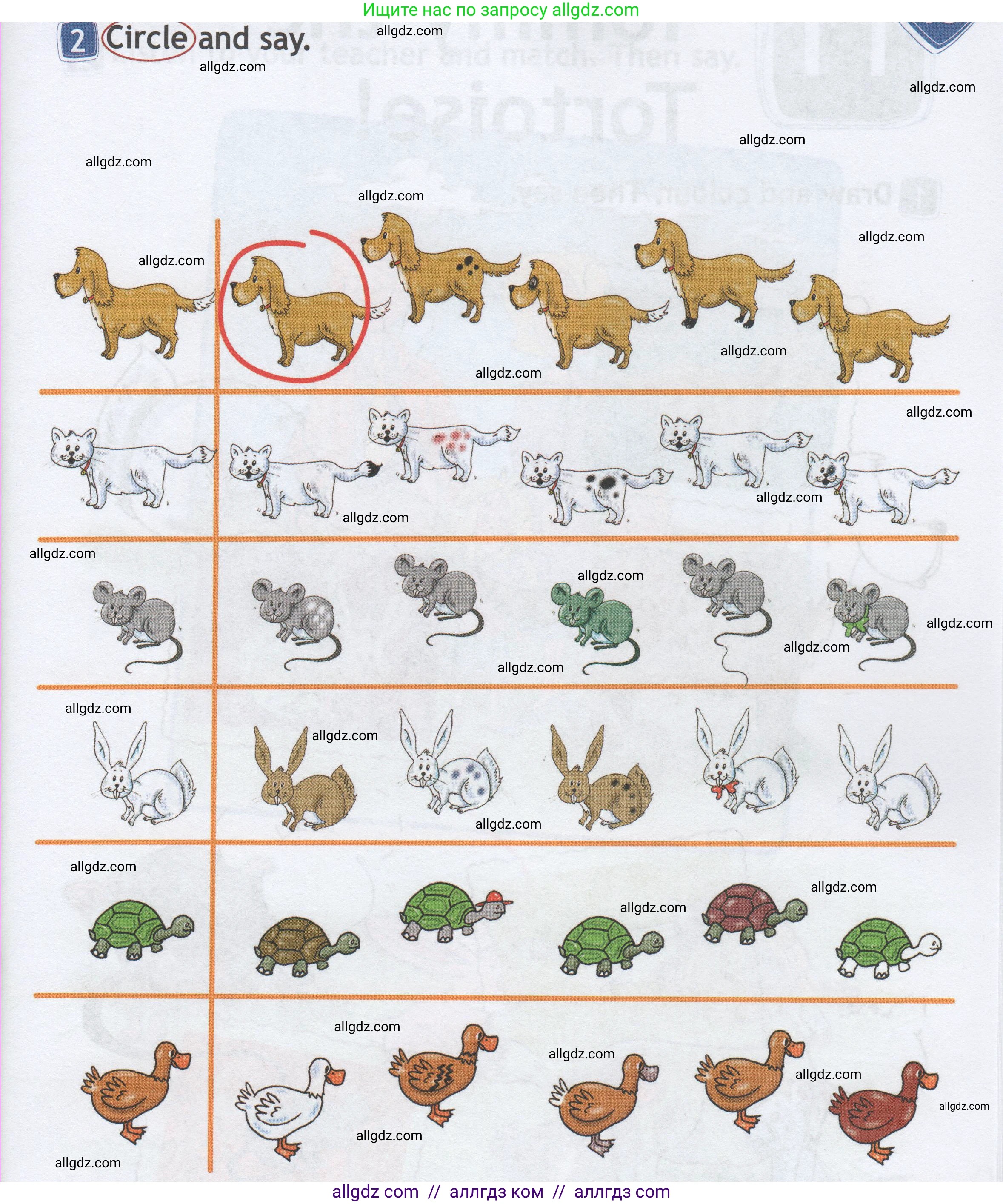 Английский язык (english), 1 класс Рабочая тетрадь (workbook), авторы: Быкова Надежда Ильинична (Bykova Nadezhda), Дули Дженни (Dooley Jenny), Поспелова Марина Давидовна (Pospelova Marina), Эванс Вирджиния (Evans Virginia), издательство Просвещение, Москва, 2012, страница 39, номер 2, Условие