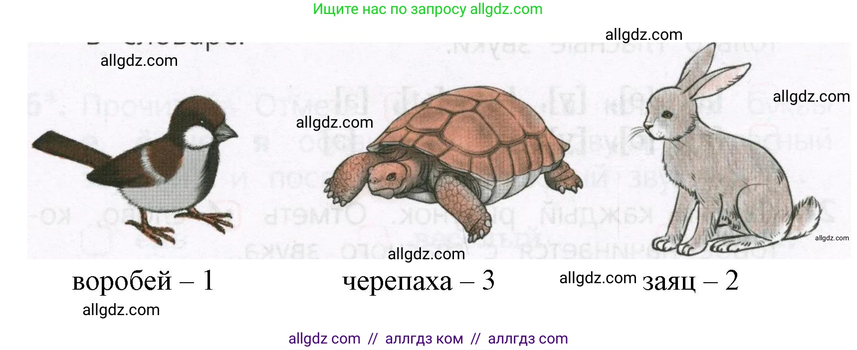 Русский язык, 1 класс Тетрадь учебных достижений, автор: Канакина Валентина Павловна, издательство Просвещение, Москва, 2023, белого цвета, страница 25, номер 6, Решение (продолжение 2)
