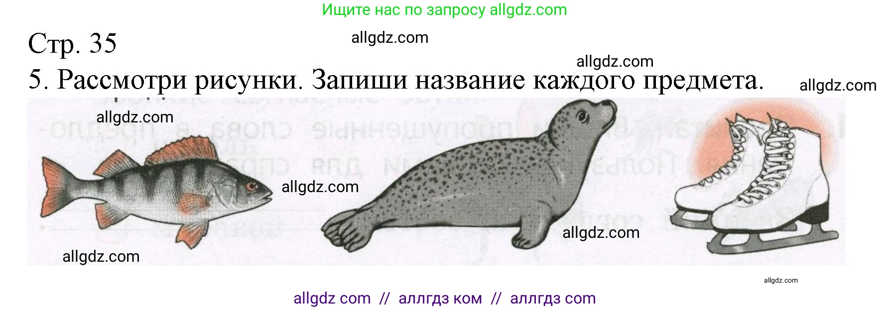 Русский язык, 1 класс Тетрадь учебных достижений, автор: Канакина Валентина Павловна, издательство Просвещение, Москва, 2023, белого цвета, страница 35, номер 5, Решение