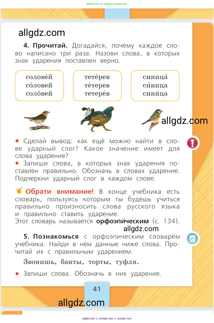 Русский язык, 1 класс Учебник, авторы: Канакина Валентина Павловна, Горецкий Всеслав Гаврилович, издательство Просвещение, Москва, 2023, белого цвета, страница 41