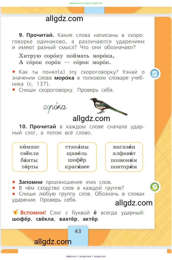 Русский язык, 1 класс Учебник, авторы: Канакина Валентина Павловна, Горецкий Всеслав Гаврилович, издательство Просвещение, Москва, 2023, белого цвета, страница 43