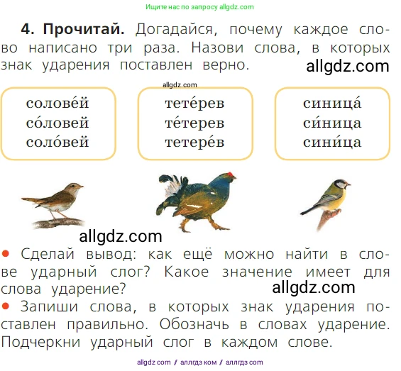 Русский язык, 1 класс Учебник, авторы: Канакина Валентина Павловна, Горецкий Всеслав Гаврилович, издательство Просвещение, Москва, 2023, белого цвета, страница 41, номер 4, Условие
