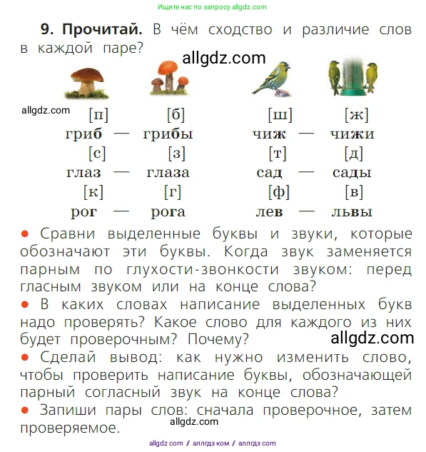 Русский язык, 1 класс Учебник, авторы: Канакина Валентина Павловна, Горецкий Всеслав Гаврилович, издательство Просвещение, Москва, 2023, белого цвета, страница 97, номер 9, Условие