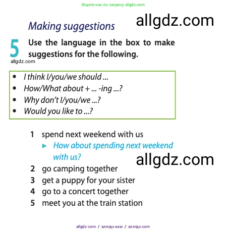Английский язык (english), 10 класс Учебник (Student's book), авторы: Афанасьева Ольга Васильевна (Afanasyeva Olga), Дули Дженни (Dooley Jenny), Михеева Ирина Владимировна (Mikheeva Irina), Оби Боб (Obee Bob), Эванс Вирджиния (Evans Virginia), издательство Просвещение, Москва, 2019, красного цвета, страница 19, номер 5, Условие