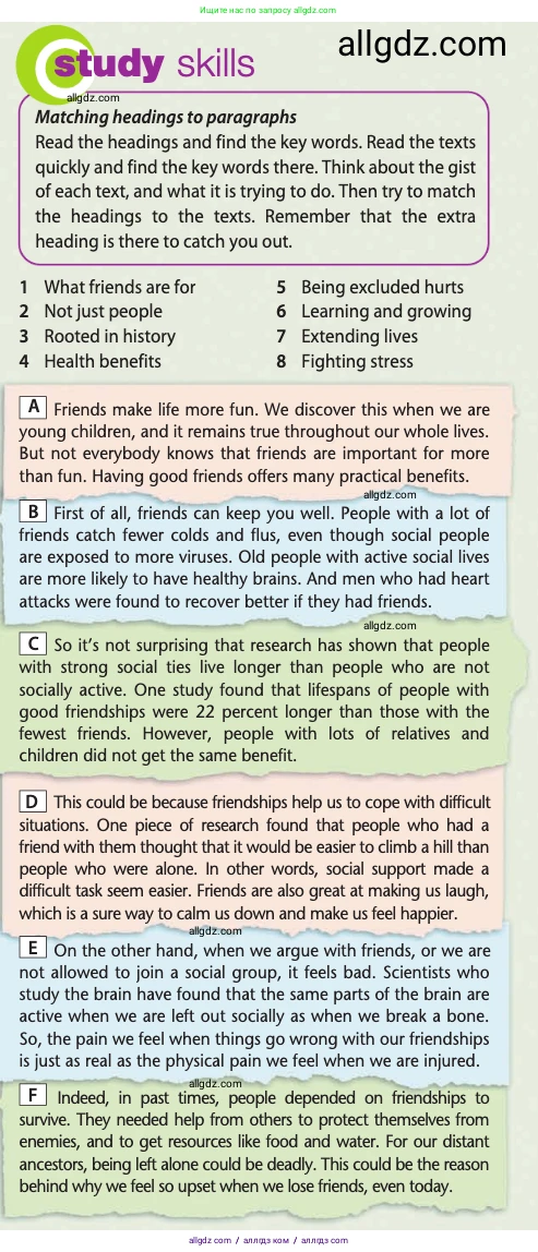 Английский язык (english), 10 класс Учебник (Student's book), авторы: Афанасьева Ольга Васильевна (Afanasyeva Olga), Дули Дженни (Dooley Jenny), Михеева Ирина Владимировна (Mikheeva Irina), Оби Боб (Obee Bob), Эванс Вирджиния (Evans Virginia), издательство Просвещение, Москва, 2019, красного цвета, страница 24, Условие (продолжение 2)