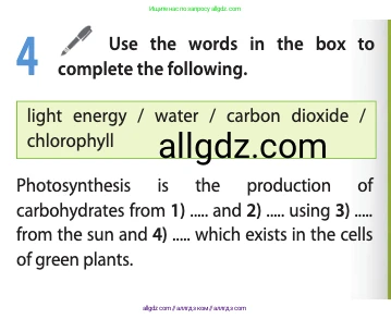 Английский язык (english), 10 класс Учебник (Student's book), авторы: Афанасьева Ольга Васильевна (Afanasyeva Olga), Дули Дженни (Dooley Jenny), Михеева Ирина Владимировна (Mikheeva Irina), Оби Боб (Obee Bob), Эванс Вирджиния (Evans Virginia), издательство Просвещение, Москва, 2019, красного цвета, страница 76, номер 4, Условие