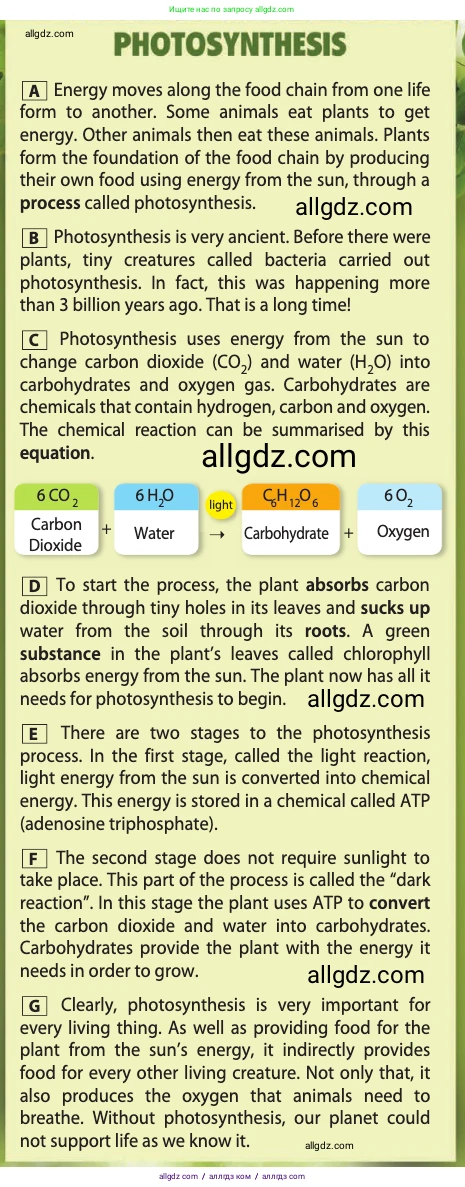 Английский язык (english), 10 класс Учебник (Student's book), авторы: Афанасьева Ольга Васильевна (Afanasyeva Olga), Дули Дженни (Dooley Jenny), Михеева Ирина Владимировна (Mikheeva Irina), Оби Боб (Obee Bob), Эванс Вирджиния (Evans Virginia), издательство Просвещение, Москва, 2019, красного цвета, страница 76, номер 5, Условие (продолжение 2)