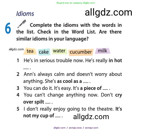 Английский язык (english), 10 класс Учебник (Student's book), авторы: Афанасьева Ольга Васильевна (Afanasyeva Olga), Дули Дженни (Dooley Jenny), Михеева Ирина Владимировна (Mikheeva Irina), Оби Боб (Obee Bob), Эванс Вирджиния (Evans Virginia), издательство Просвещение, Москва, 2019, красного цвета, страница 109, номер 6, Условие