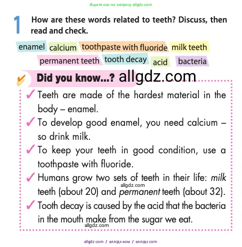 Английский язык (english), 10 класс Учебник (Student's book), авторы: Афанасьева Ольга Васильевна (Afanasyeva Olga), Дули Дженни (Dooley Jenny), Михеева Ирина Владимировна (Mikheeva Irina), Оби Боб (Obee Bob), Эванс Вирджиния (Evans Virginia), издательство Просвещение, Москва, 2019, красного цвета, страница 116, номер 1, Условие