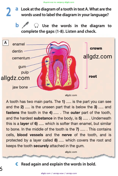 Английский язык (english), 10 класс Учебник (Student's book), авторы: Афанасьева Ольга Васильевна (Afanasyeva Olga), Дули Дженни (Dooley Jenny), Михеева Ирина Владимировна (Mikheeva Irina), Оби Боб (Obee Bob), Эванс Вирджиния (Evans Virginia), издательство Просвещение, Москва, 2019, красного цвета, страница 116, номер 2, Условие