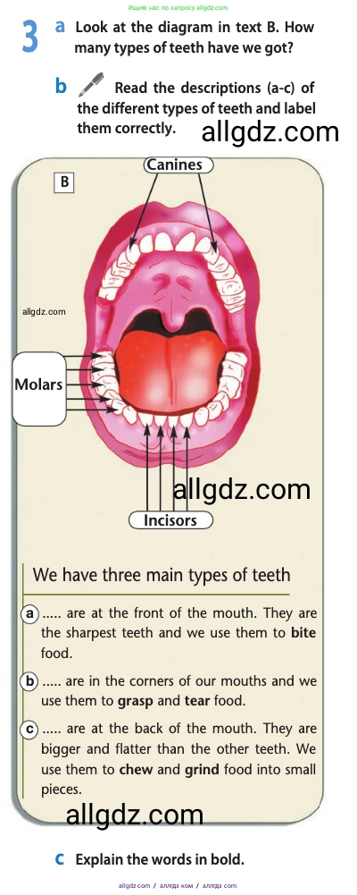 Английский язык (english), 10 класс Учебник (Student's book), авторы: Афанасьева Ольга Васильевна (Afanasyeva Olga), Дули Дженни (Dooley Jenny), Михеева Ирина Владимировна (Mikheeva Irina), Оби Боб (Obee Bob), Эванс Вирджиния (Evans Virginia), издательство Просвещение, Москва, 2019, красного цвета, страница 116, номер 3, Условие