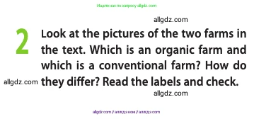 Английский язык (english), 10 класс Учебник (Student's book), авторы: Афанасьева Ольга Васильевна (Afanasyeva Olga), Дули Дженни (Dooley Jenny), Михеева Ирина Владимировна (Mikheeva Irina), Оби Боб (Obee Bob), Эванс Вирджиния (Evans Virginia), издательство Просвещение, Москва, 2019, красного цвета, страница 117, номер 2, Условие