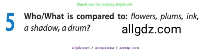 Английский язык (english), 10 класс Учебник (Student's book), авторы: Афанасьева Ольга Васильевна (Afanasyeva Olga), Дули Дженни (Dooley Jenny), Михеева Ирина Владимировна (Mikheeva Irina), Оби Боб (Obee Bob), Эванс Вирджиния (Evans Virginia), издательство Просвещение, Москва, 2019, красного цвета, страница 129, номер 5, Условие