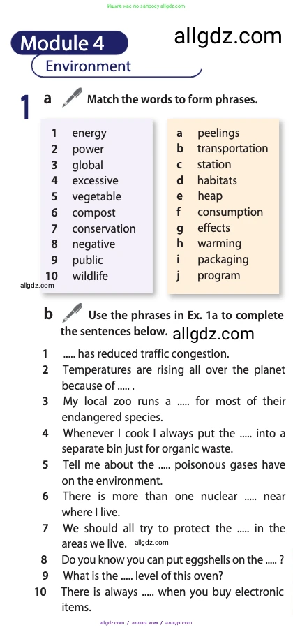 Английский язык (english), 10 класс Учебник (Student's book), авторы: Афанасьева Ольга Васильевна (Afanasyeva Olga), Дули Дженни (Dooley Jenny), Михеева Ирина Владимировна (Mikheeva Irina), Оби Боб (Obee Bob), Эванс Вирджиния (Evans Virginia), издательство Просвещение, Москва, 2019, красного цвета, страница 161, номер 1, Условие