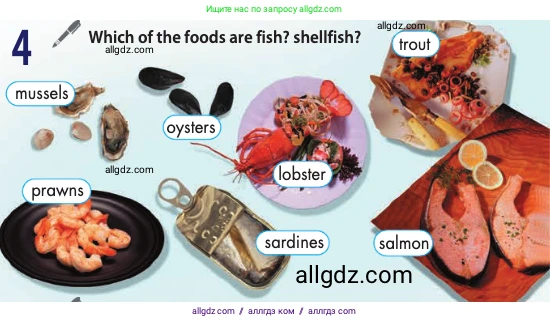 Английский язык (english), 10 класс Учебник (Student's book), авторы: Афанасьева Ольга Васильевна (Afanasyeva Olga), Дули Дженни (Dooley Jenny), Михеева Ирина Владимировна (Mikheeva Irina), Оби Боб (Obee Bob), Эванс Вирджиния (Evans Virginia), издательство Просвещение, Москва, 2019, красного цвета, страница 163, номер 4, Условие