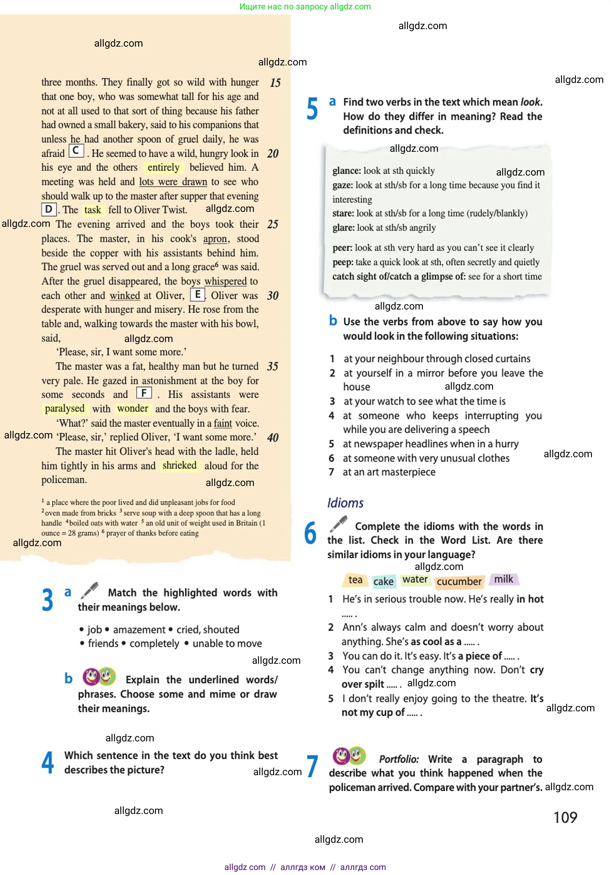 Английский язык (english), 10 класс Учебник (Student's book), авторы: Афанасьева Ольга Васильевна (Afanasyeva Olga), Дули Дженни (Dooley Jenny), Михеева Ирина Владимировна (Mikheeva Irina), Оби Боб (Obee Bob), Эванс Вирджиния (Evans Virginia), издательство Просвещение, Москва, 2019, красного цвета, страница 109