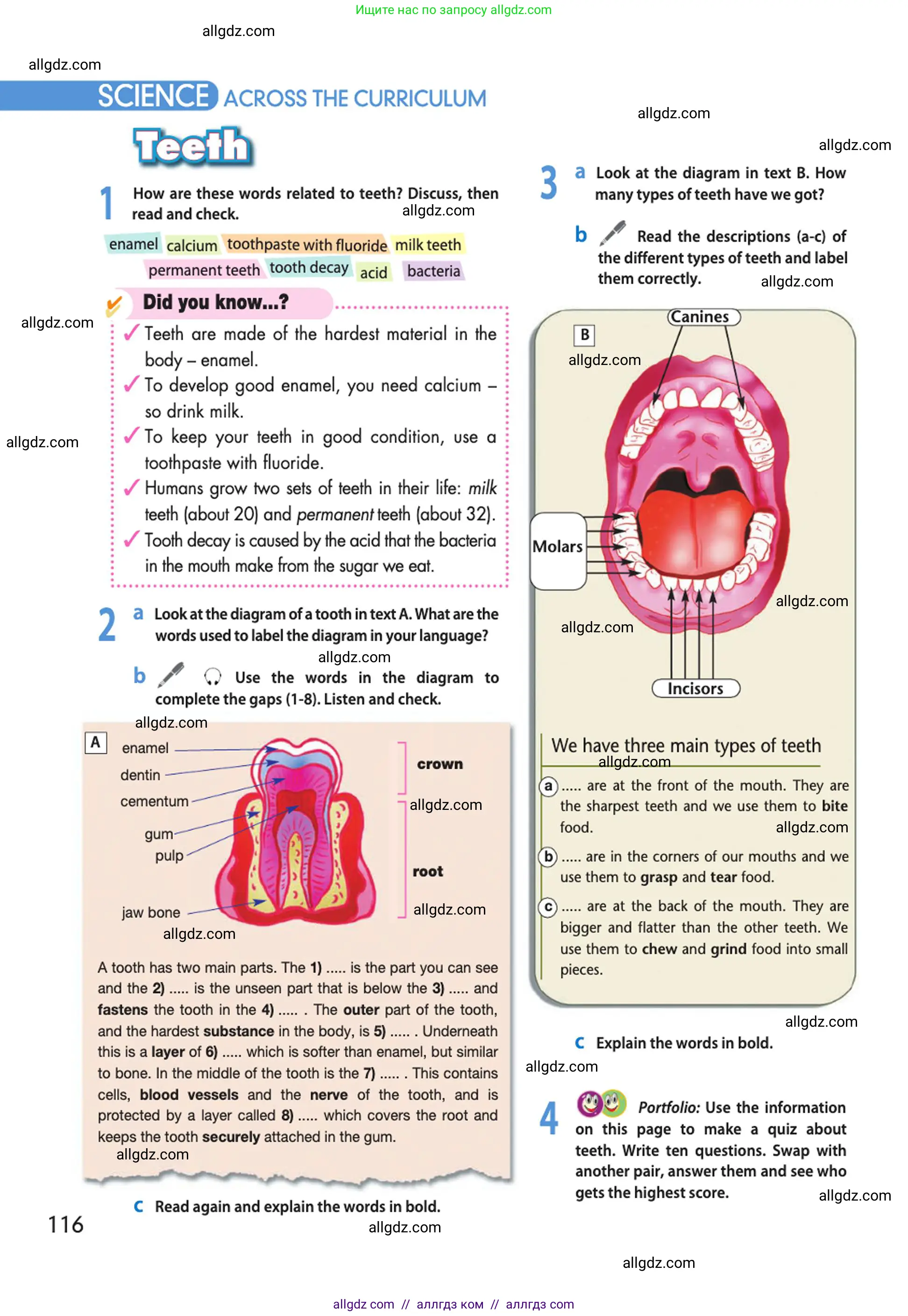 Английский язык (english), 10 класс Учебник (Student's book), авторы: Афанасьева Ольга Васильевна (Afanasyeva Olga), Дули Дженни (Dooley Jenny), Михеева Ирина Владимировна (Mikheeva Irina), Оби Боб (Obee Bob), Эванс Вирджиния (Evans Virginia), издательство Просвещение, Москва, 2019, красного цвета, страница 116