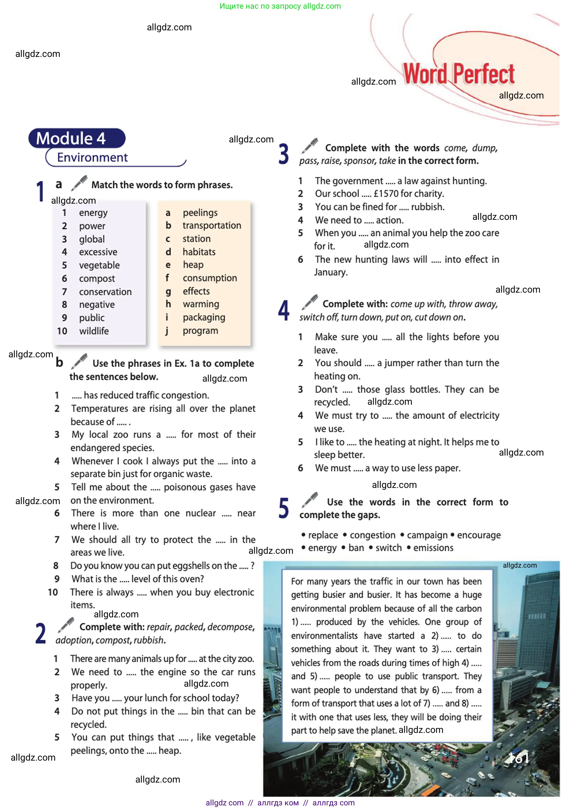 Английский язык (english), 10 класс Учебник (Student's book), авторы: Афанасьева Ольга Васильевна (Afanasyeva Olga), Дули Дженни (Dooley Jenny), Михеева Ирина Владимировна (Mikheeva Irina), Оби Боб (Obee Bob), Эванс Вирджиния (Evans Virginia), издательство Просвещение, Москва, 2019, красного цвета, страница 161