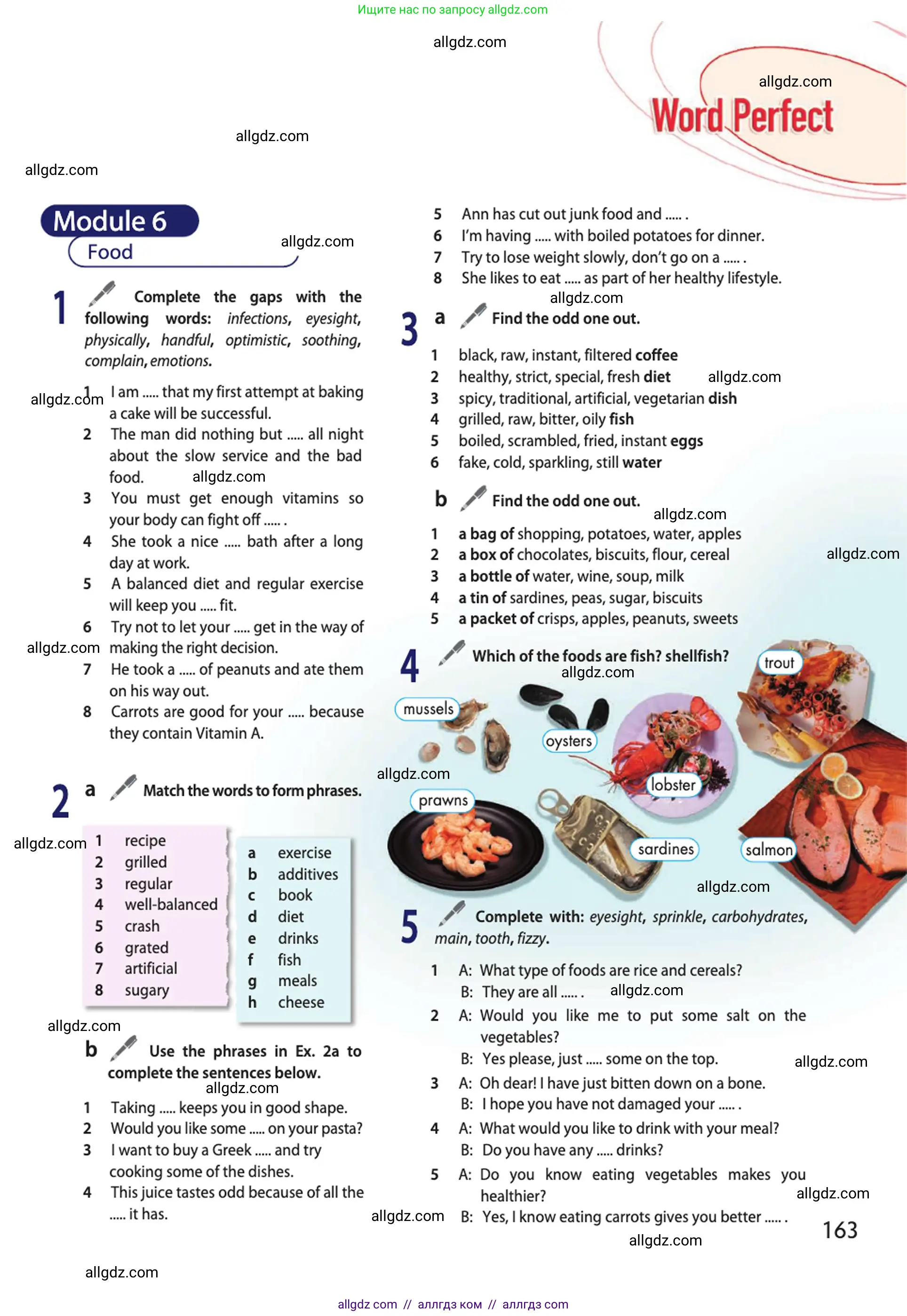 Английский язык (english), 10 класс Учебник (Student's book), авторы: Афанасьева Ольга Васильевна (Afanasyeva Olga), Дули Дженни (Dooley Jenny), Михеева Ирина Владимировна (Mikheeva Irina), Оби Боб (Obee Bob), Эванс Вирджиния (Evans Virginia), издательство Просвещение, Москва, 2019, красного цвета, страница 163