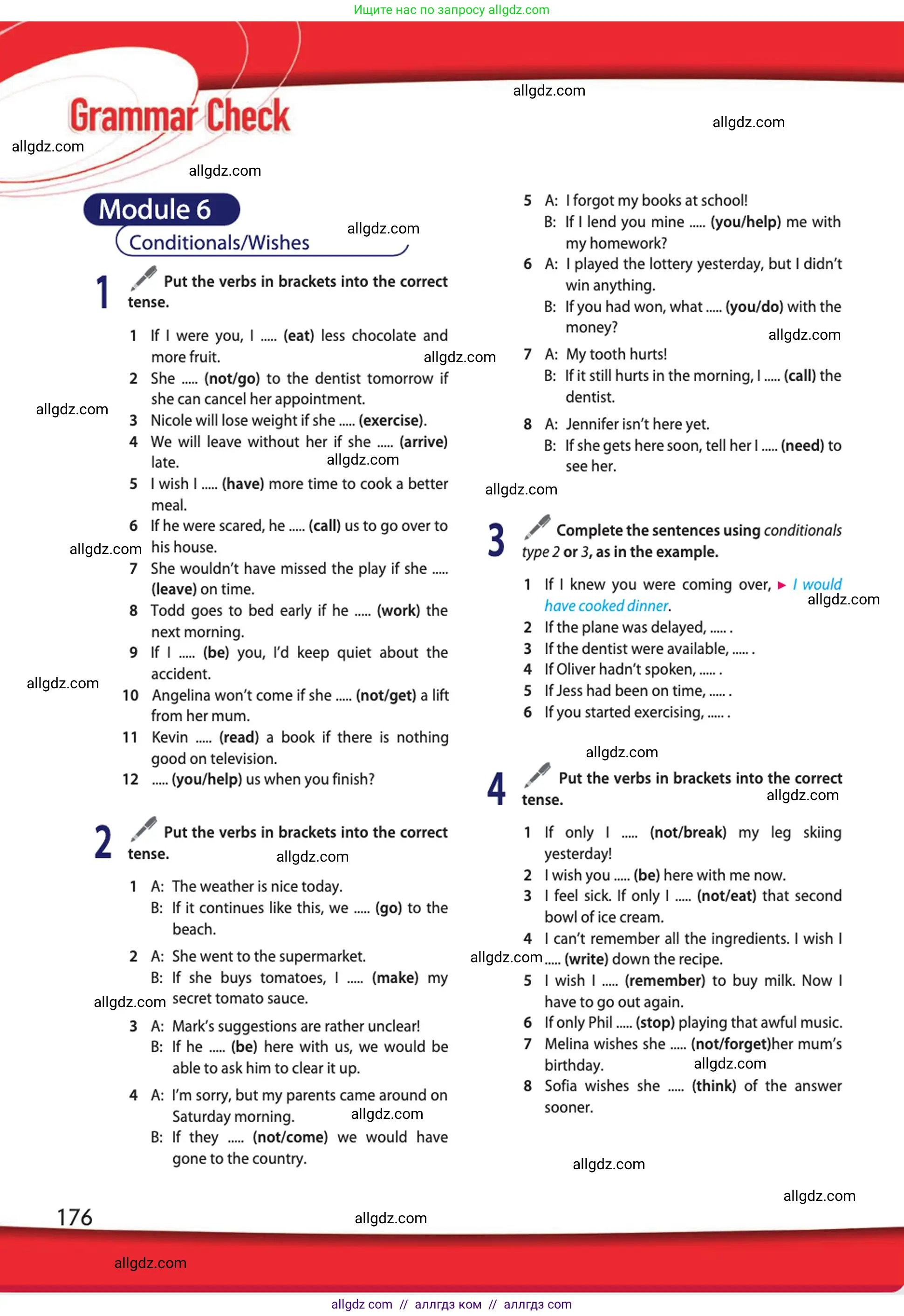 Английский язык (english), 10 класс Учебник (Student's book), авторы: Афанасьева Ольга Васильевна (Afanasyeva Olga), Дули Дженни (Dooley Jenny), Михеева Ирина Владимировна (Mikheeva Irina), Оби Боб (Obee Bob), Эванс Вирджиния (Evans Virginia), издательство Просвещение, Москва, 2019, красного цвета, страница 176