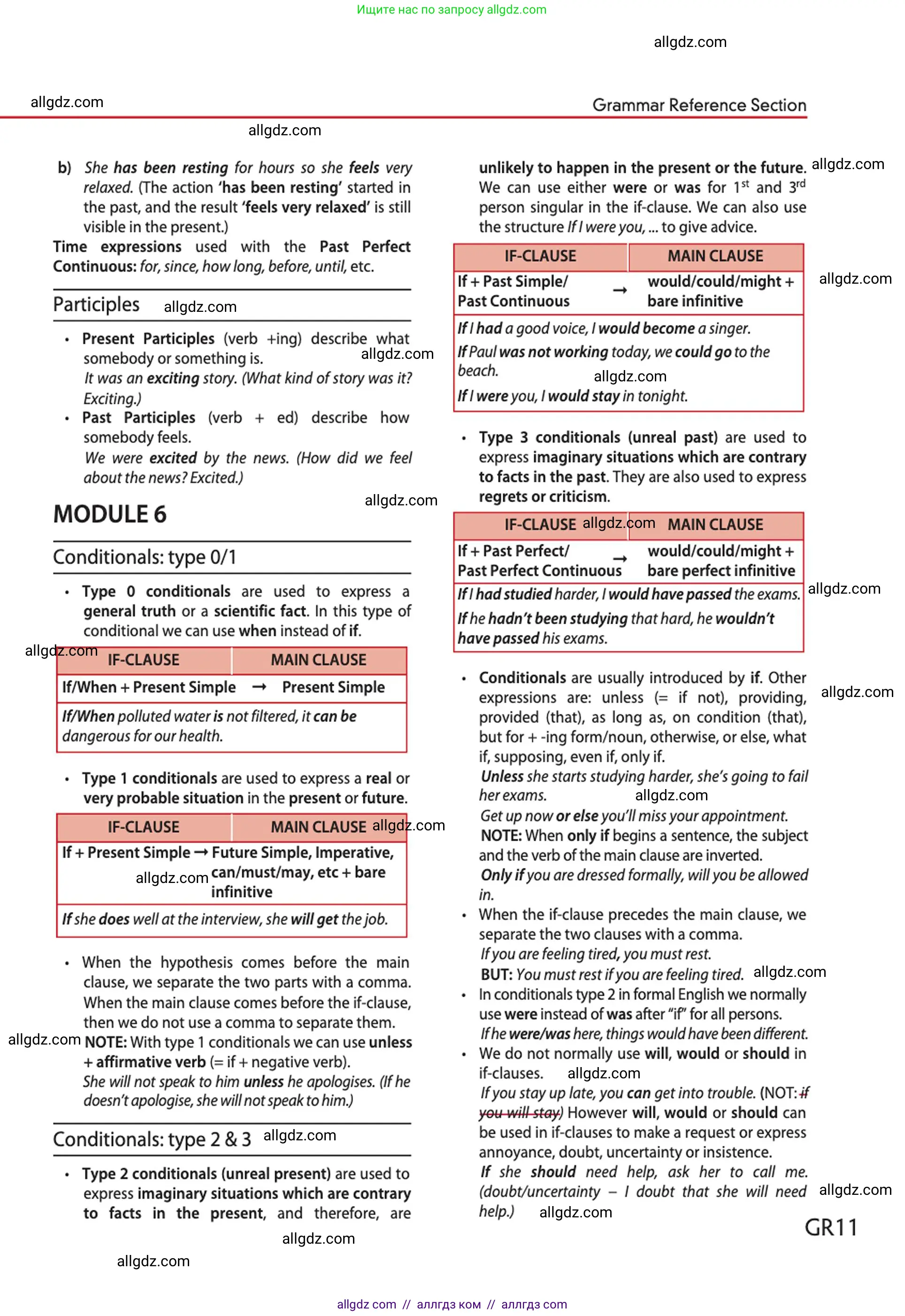 Английский язык (english), 10 класс Учебник (Student's book), авторы: Афанасьева Ольга Васильевна (Afanasyeva Olga), Дули Дженни (Dooley Jenny), Михеева Ирина Владимировна (Mikheeva Irina), Оби Боб (Obee Bob), Эванс Вирджиния (Evans Virginia), издательство Просвещение, Москва, 2019, красного цвета, страница 207